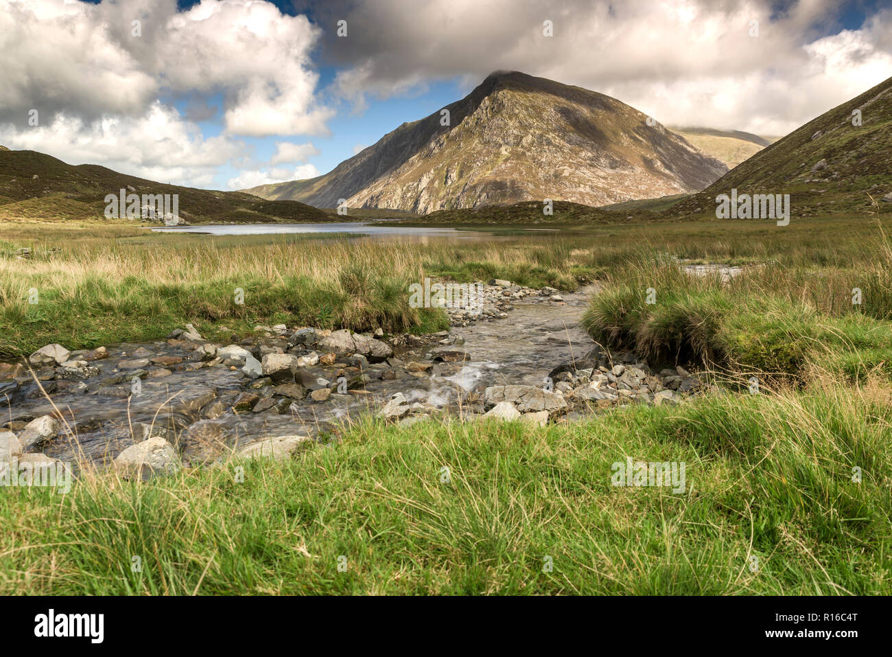 Pen-OLE-Wen ist der 7. höchsten Berg in Snowdonia und in Wales. Es ist die südlichste der Carneddau. Stockfoto