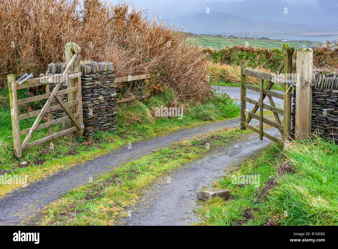 County Kerry, Irland. 9. November 2018. Hölzerne Tor in den Wind geöffnet, County Kerry, Irland Quelle: Stephen Power/Alamy leben Nachrichten Stockfoto