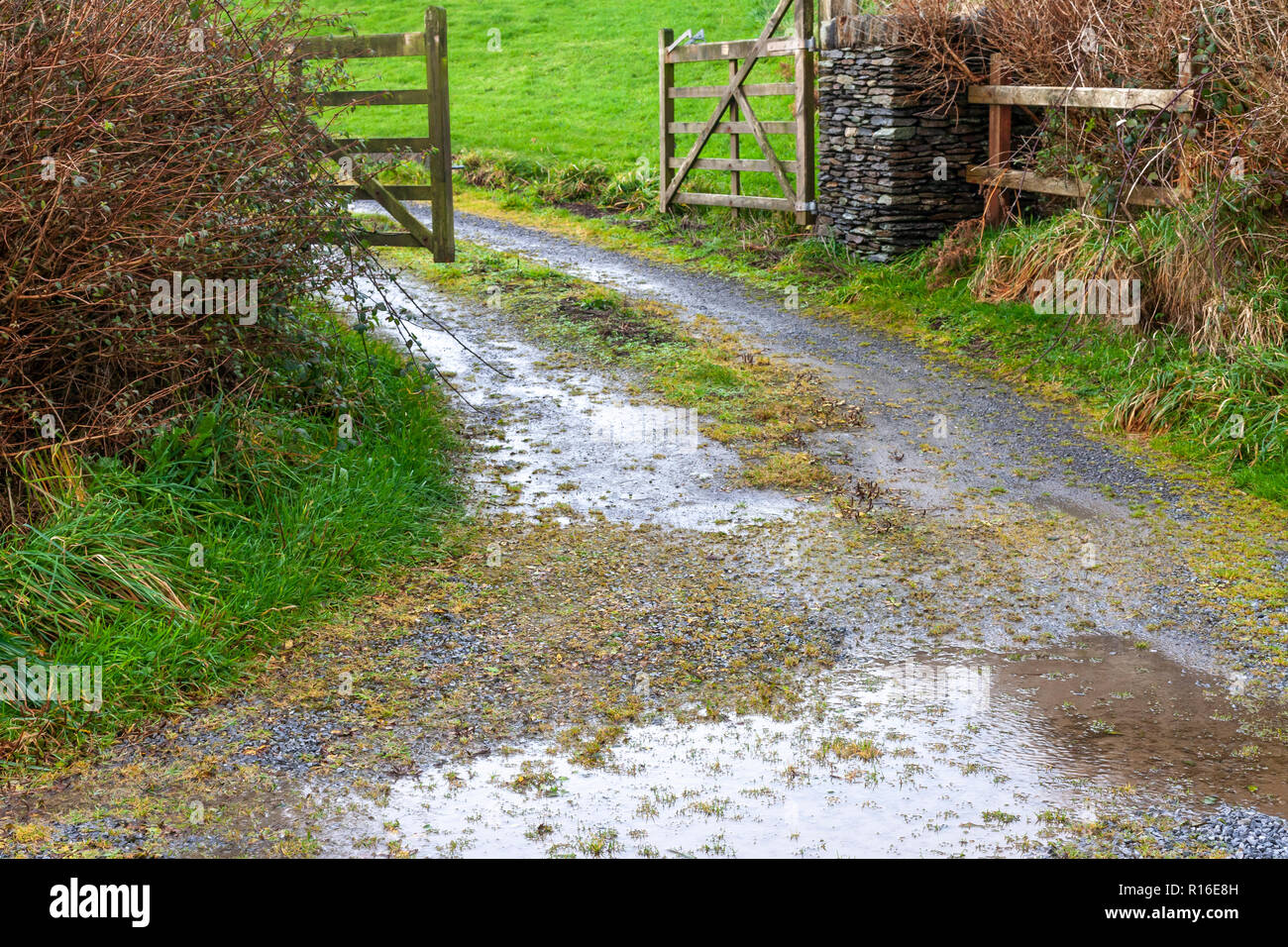 County Kerry, Irland. 9. November 2018. Hölzerne Tor in den Wind geöffnet, County Kerry, Irland Quelle: Stephen Power/Alamy leben Nachrichten Stockfoto