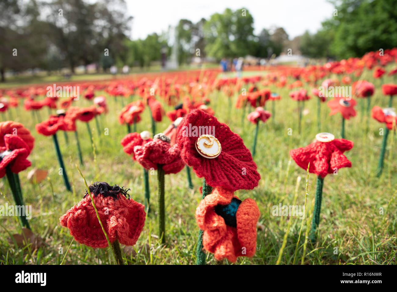 Canberra, Australien. 9. November 2018. 62.000 Handgemachte Mohnblumen füllen die Gärten am War Memorial in Canberra, je ein Mann für einen australischen Soldaten während des Zweiten Weltkrieges 1 Credit getötet: Michael Miller/Alamy leben Nachrichten Stockfoto