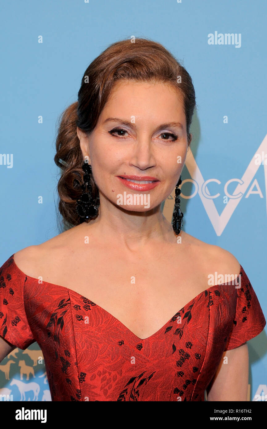 NEW YORK, NEW YORK - November 09: Jean Shafiroff 9 Jahresbericht der menschlichen Gesellschaft zur Rettung besucht! Gala an Cipriani 42nd Street am 9. November 2018 in New York City. Credit: Ron Adar/Alamy leben Nachrichten Stockfoto