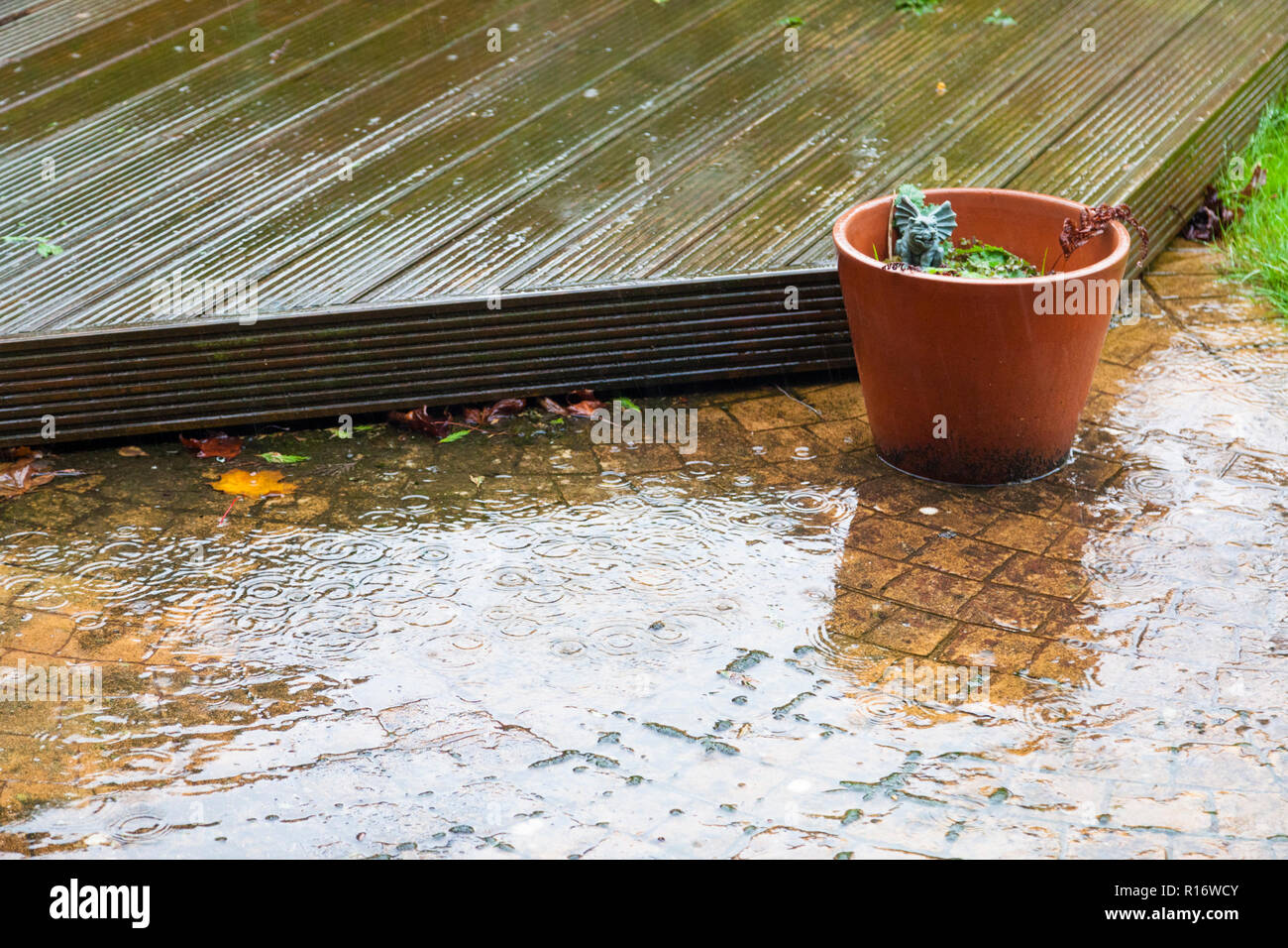 Ashford, Kent, Großbritannien. 10 Nov, 2018. UK Wetter: nassen und windigen Wetter für viel des Tages Prognose in Ashford, Kent. Hochwasserwarnungen sind in einigen Teilen des Landes mit Temperaturen im Bereich von 10 °C. Eine Pfütze von Regenwasser, grossen Blumentopf und nassen Belag. © Paul Lawrenson 2018, Foto: Paul Lawrenson/Alamy leben Nachrichten Stockfoto