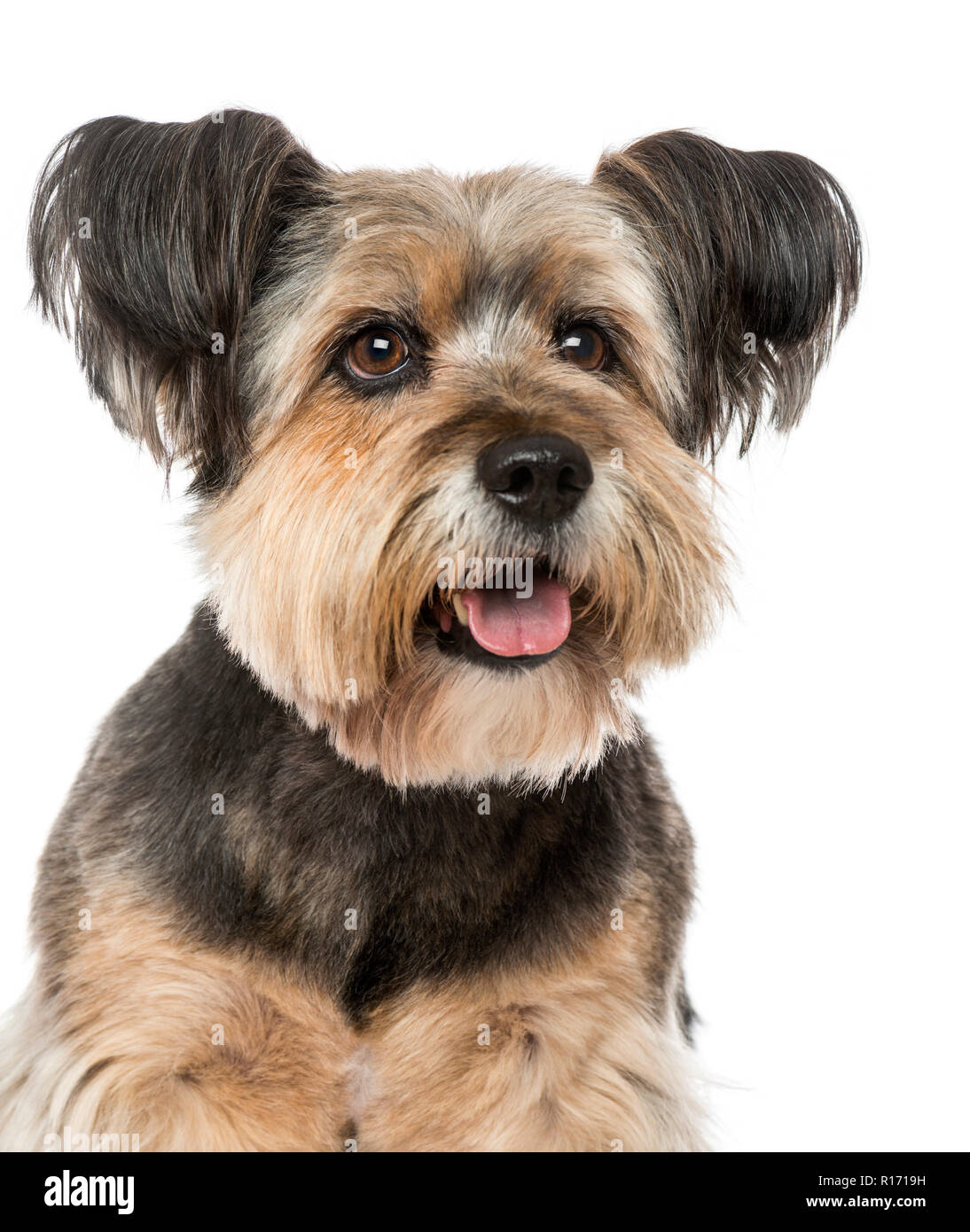 In der Nähe einer Kreuzung (10 Jahre alt) Stockfoto