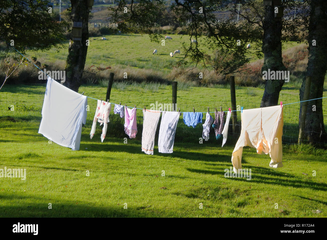 Waschmaschine außen Trocknen in einem irischen Garten auf einer Wäscheleine - Johannes Gollop Stockfoto