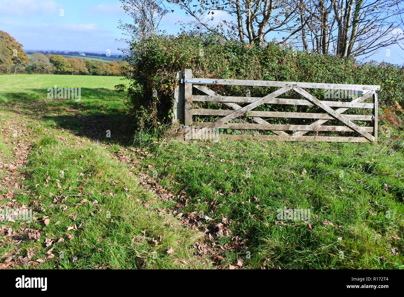 Holz- farm Gate offen gelassen - Johannes Gollop Stockfoto