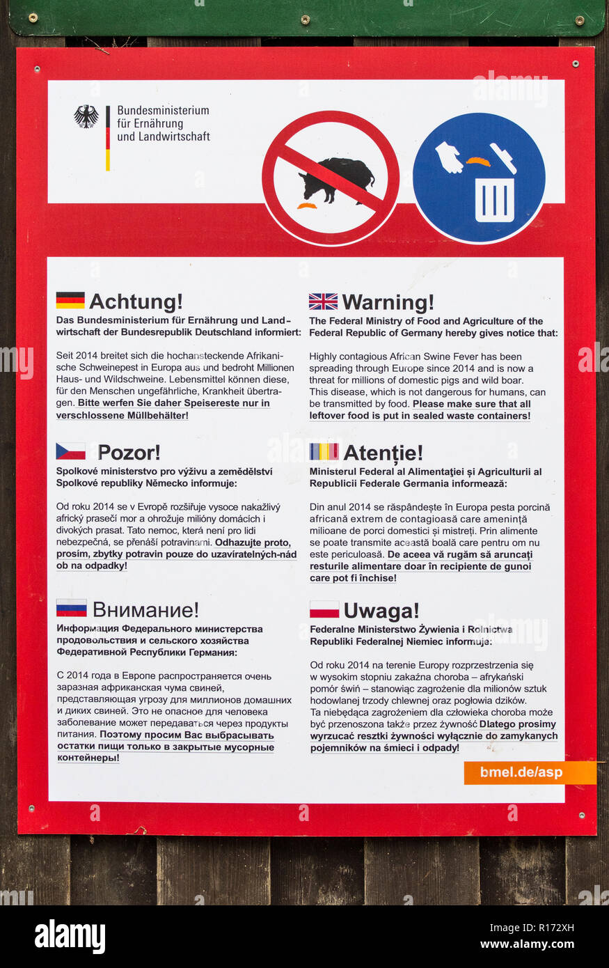Notice Board/Plakat in vielen europäischen Sprachen Warnung über die Afrikanische Schweinepest, hoch ansteckende Krankheit, die Hausschweine und Wildschweine Stockfoto