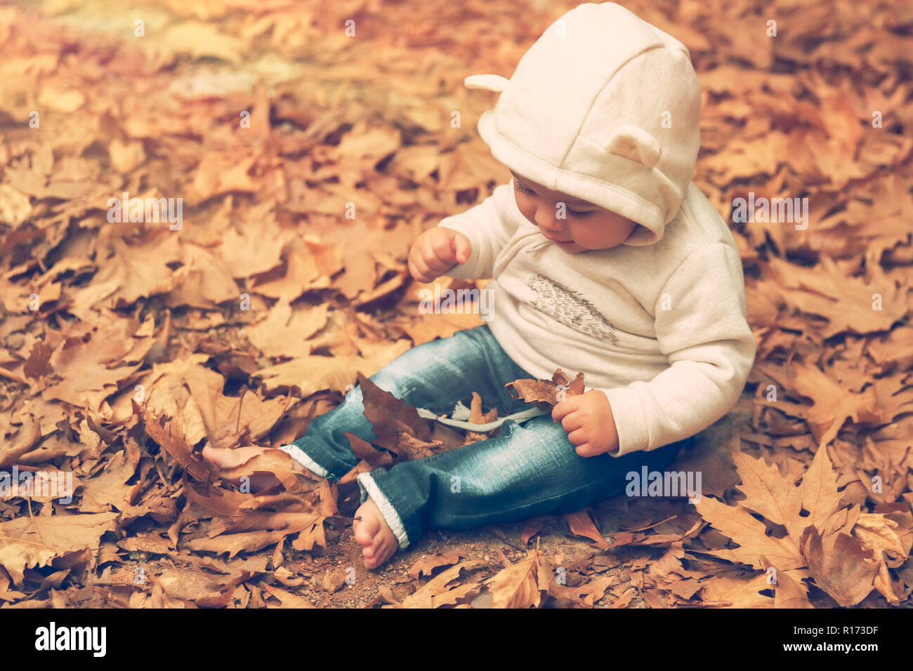 Süße kleine baby boy Spaß im Herbst Park, adorable Kind mit Freude auf dem Boden sitzend mit trockenen Baum Blätter fallen, genießen Herbst s Stockfoto