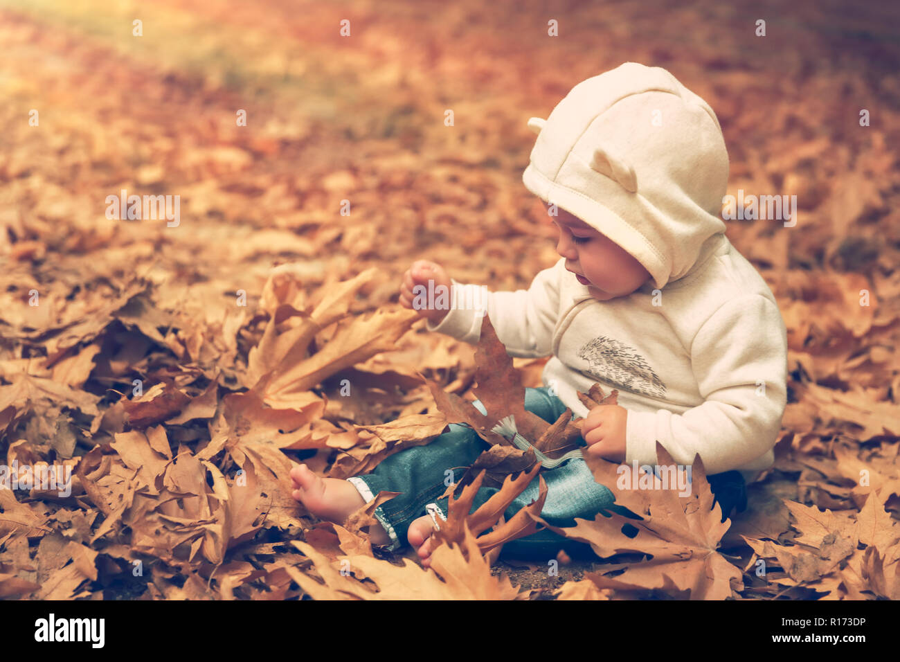 Süßes Kind Spaß im Wald, kleiner Junge sitzt auf dem Boden und mit Vergnügen spielen mit trockenen Baum Blätter, gerne Zeit im Freien Stockfoto