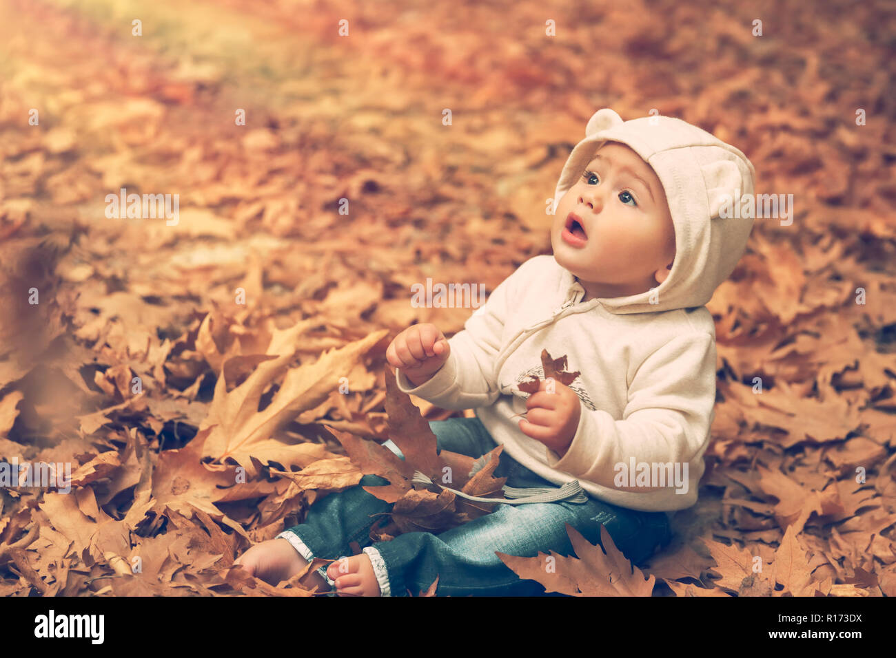 Adorable Kind sitzt auf dem Boden bedeckt mit trockenen Baum Blätter in warmen Herbst Tag und mit Wundern, die Suche nach der Sonne leuchten, glücklich herbstliche Tim Stockfoto