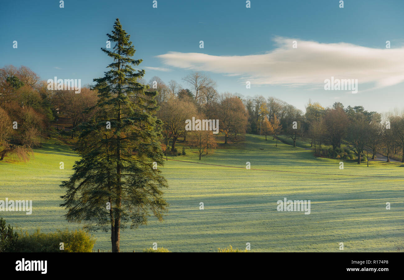 Öffentliche Park im Herbst Stockfoto