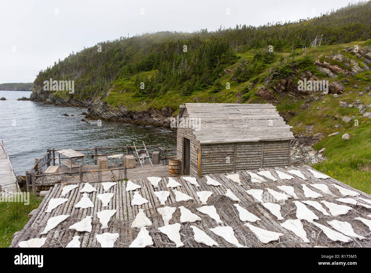 CAPE RANDOM, Neufundland, Kanada - Zufällige Passage Film, Replik des Fischerdorf. Kabeljaufilets sind künstliche Requisiten. Stockfoto