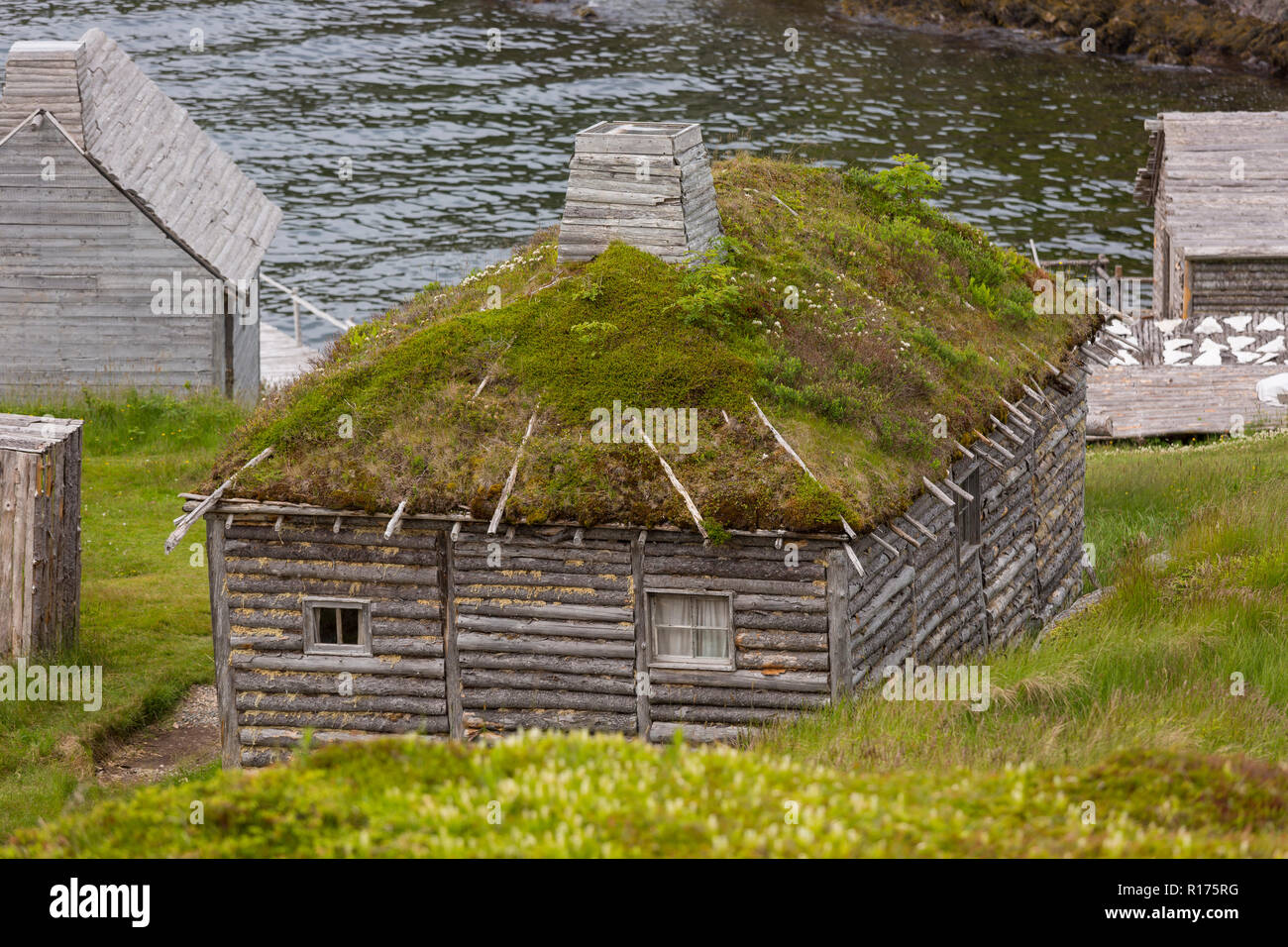 CAPE RANDOM, Neufundland, Kanada - Rasen Dach auf Kabine, Random Passage Film, Replik des Fischerdorf. Stockfoto