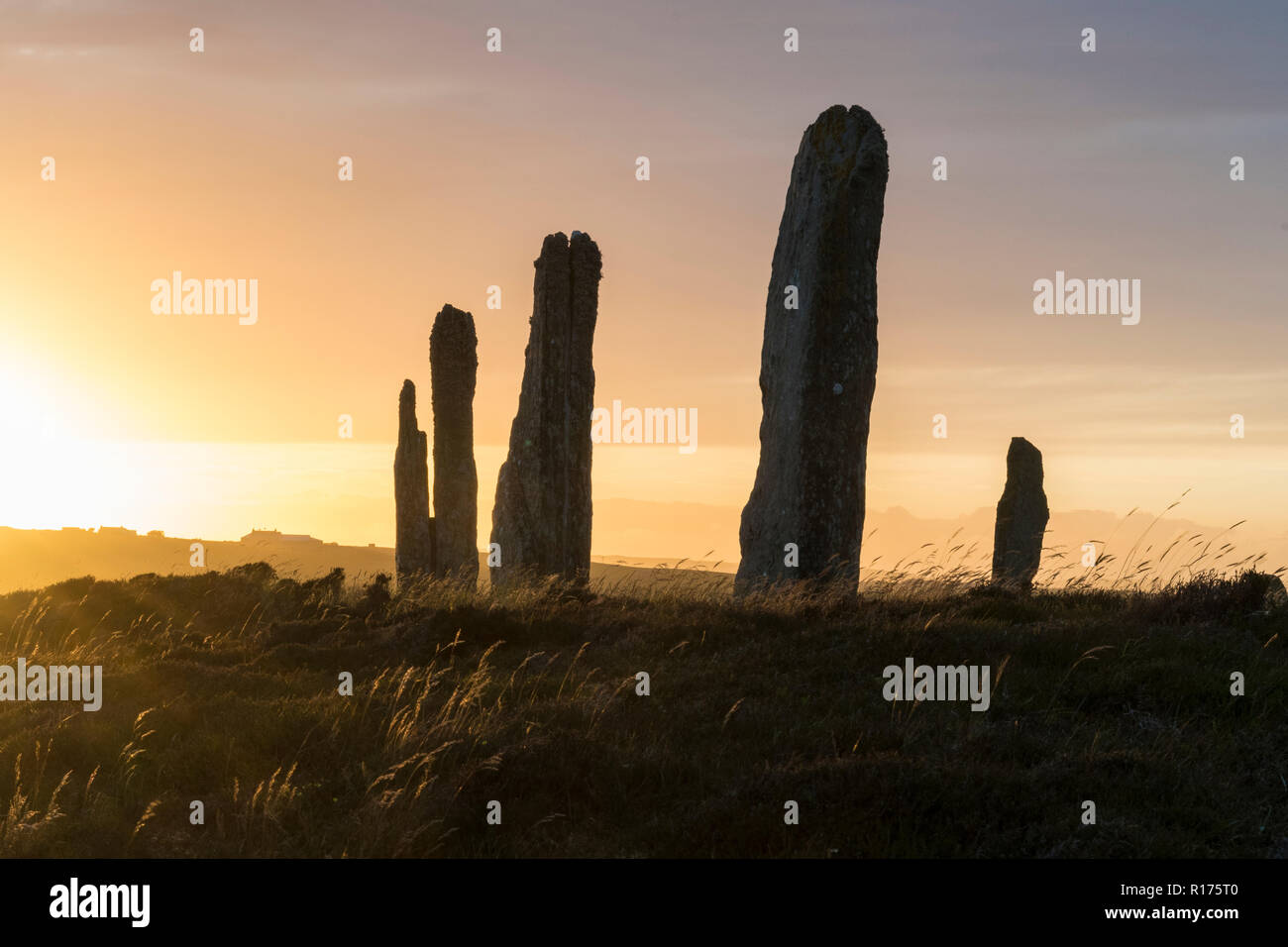 Orkney am Ring von Brodgar neolithische Menhire, Steinkreis, Sommersonnenwende. Stockfoto