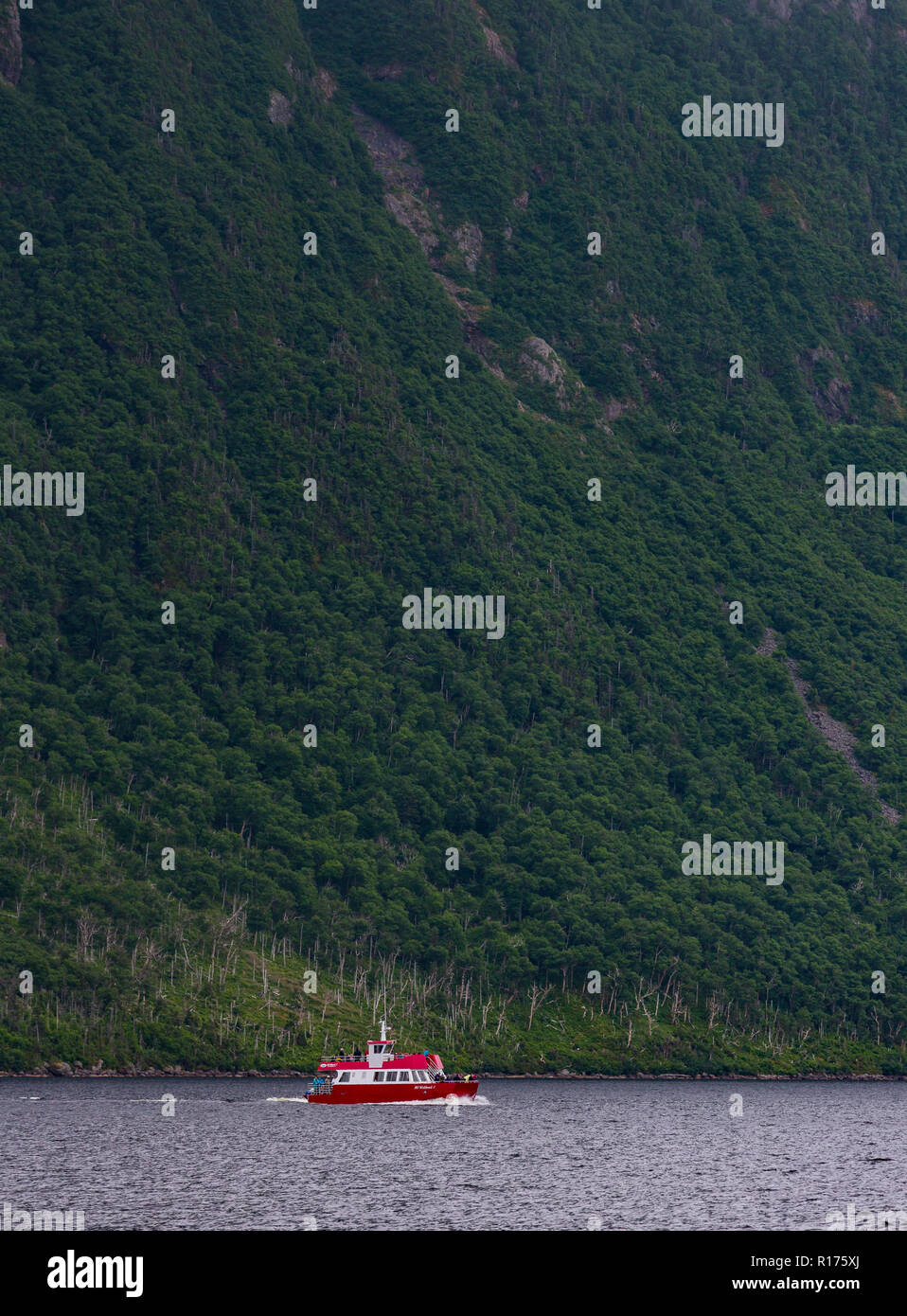 ROCKY HARBOUR, Neufundland, Kanada - Tour Boot auf Western Brook Pond, im Gros Morne National Park. Stockfoto