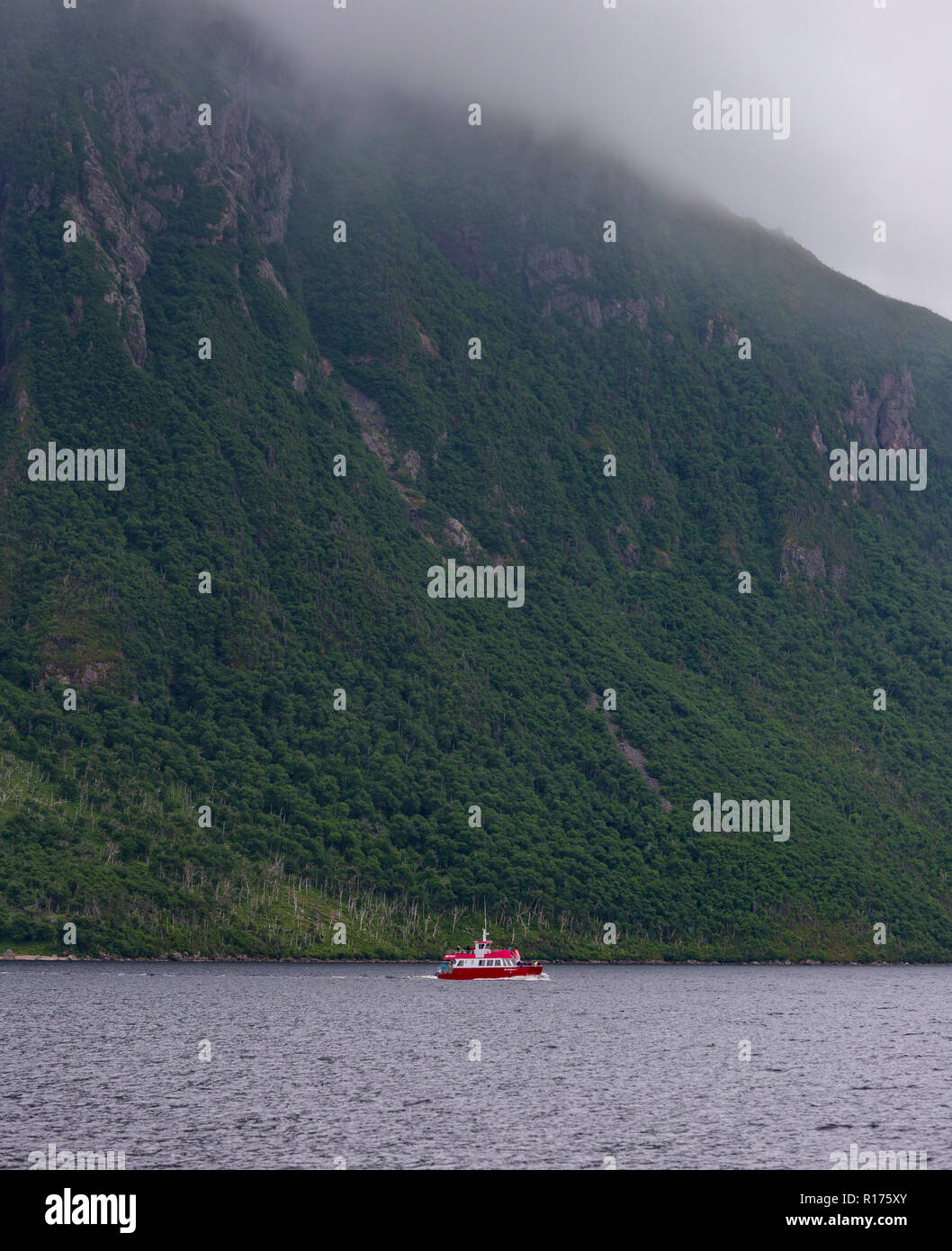 ROCKY HARBOUR, Neufundland, Kanada - Tour Boot auf Western Brook Pond, im Gros Morne National Park. Stockfoto