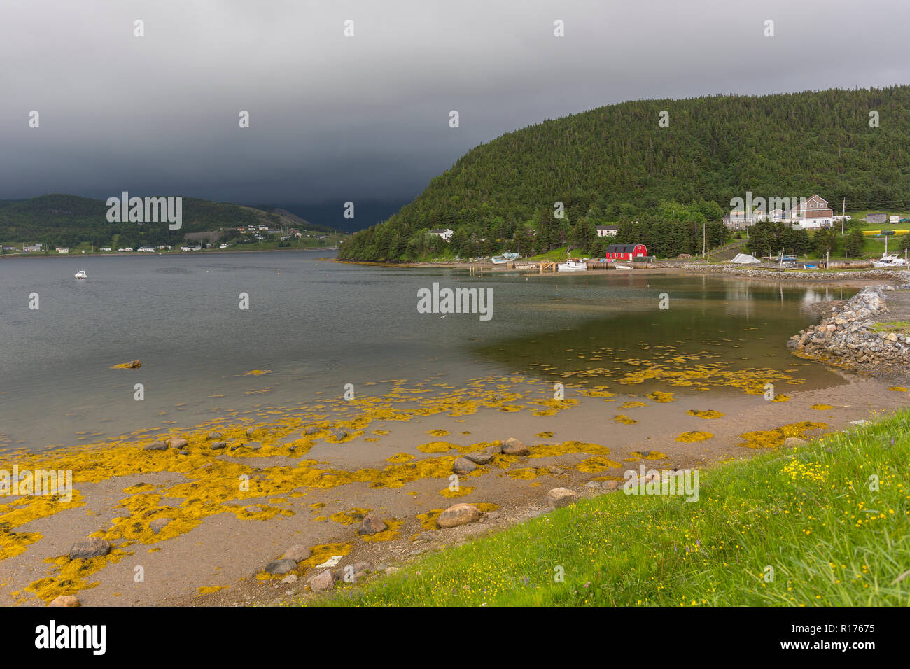 NORRIS POINT, Neufundland, Kanada - Waterfront Szene. Stockfoto