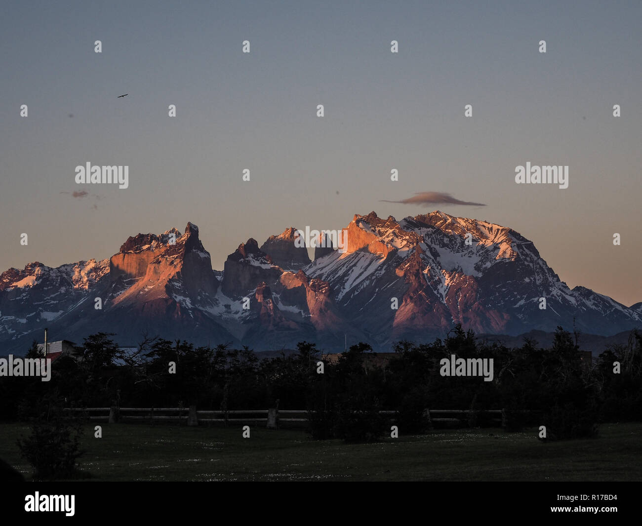 Torres del Paine Nationalpark (Spanisch: Parque Nacional Torres del Paine) mit den Türmen von Paine und Paine Hörner, südlichen chilenischen Patagonien. Stockfoto