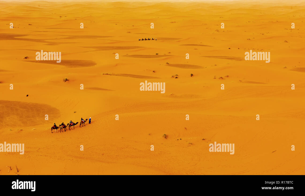 Kamelkarawane in der Sahara, Marokko Merzouga Stockfoto