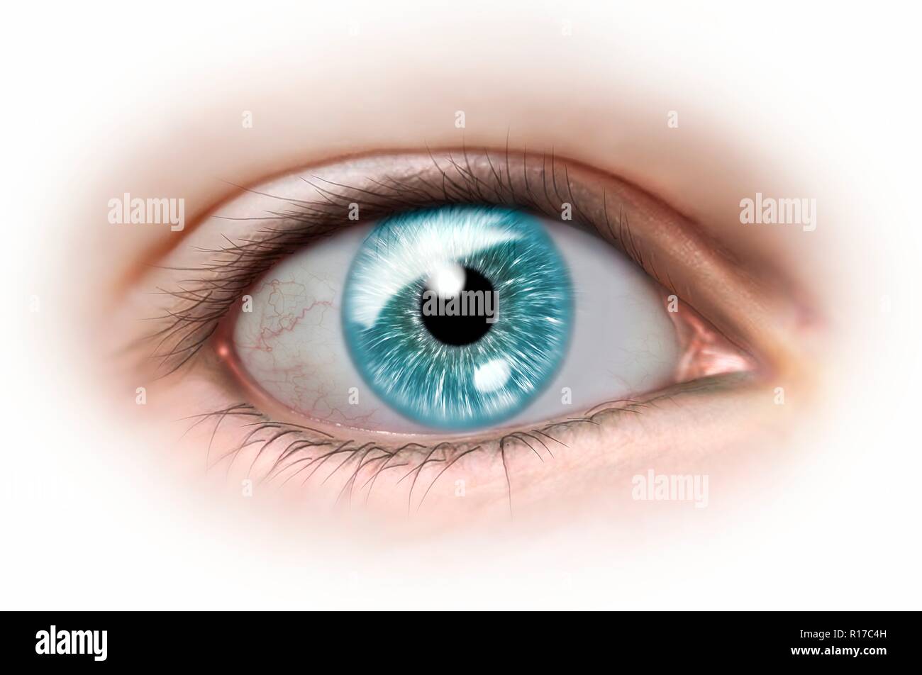 Weibliche menschliche Auge, Illustration. Stockfoto