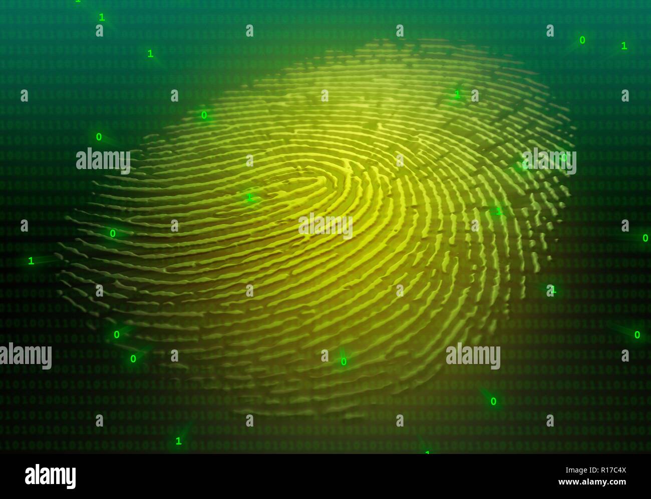 Abbildung: Eine geprägte menschliche Fingerabdruck auf einer flachen Oberfläche, mit binären Ziffern überlagert. Dies kann verwendet werden, um das Konzept der biometrischen Daten zu vermitteln. Stockfoto