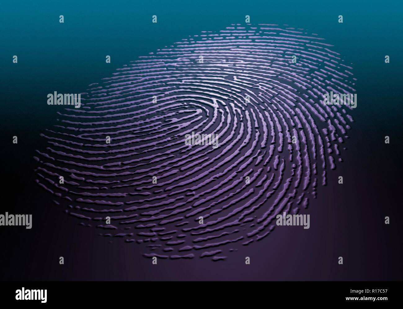 Abbildung: Eine geprägte menschliche Fingerabdruck auf einer flachen Oberfläche. Stockfoto