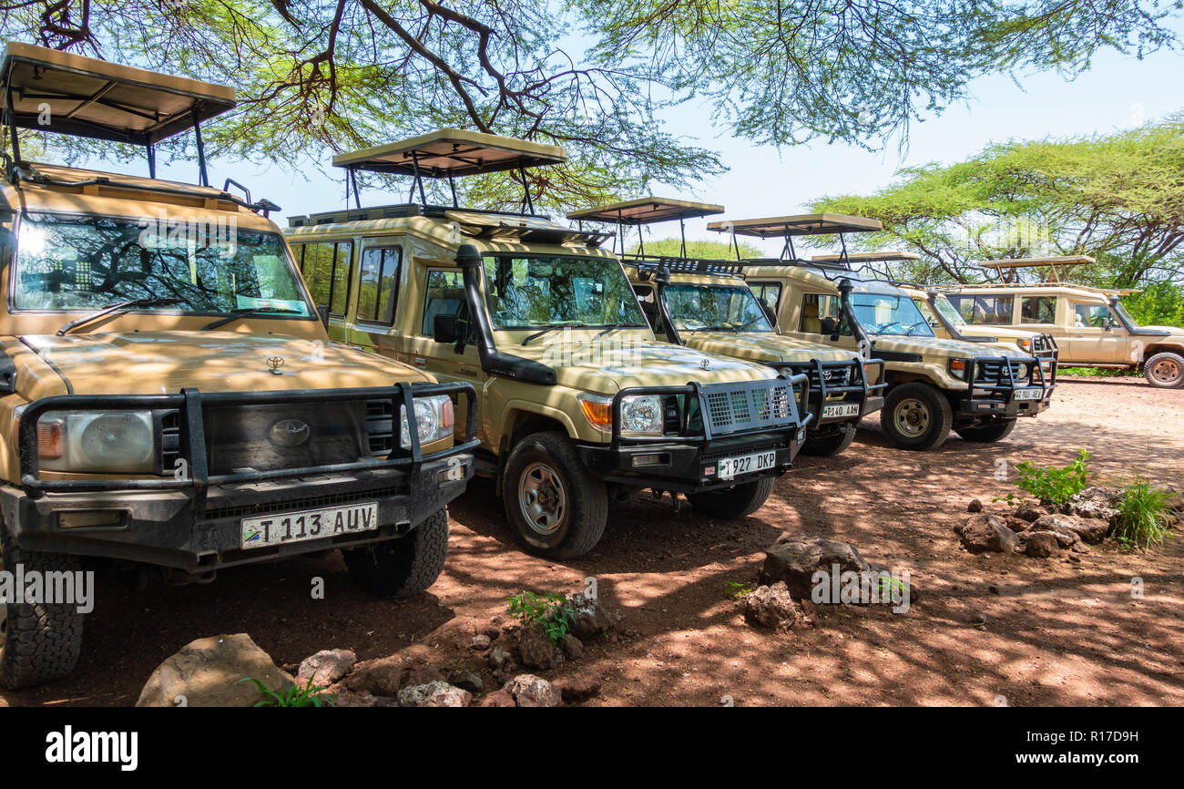 Arusha, Tansania - Januar 24, 2018 - Safari im Lake Manyara National Park. Lake Manyara National Park ist ein Nationalpark in Tansania Stockfoto