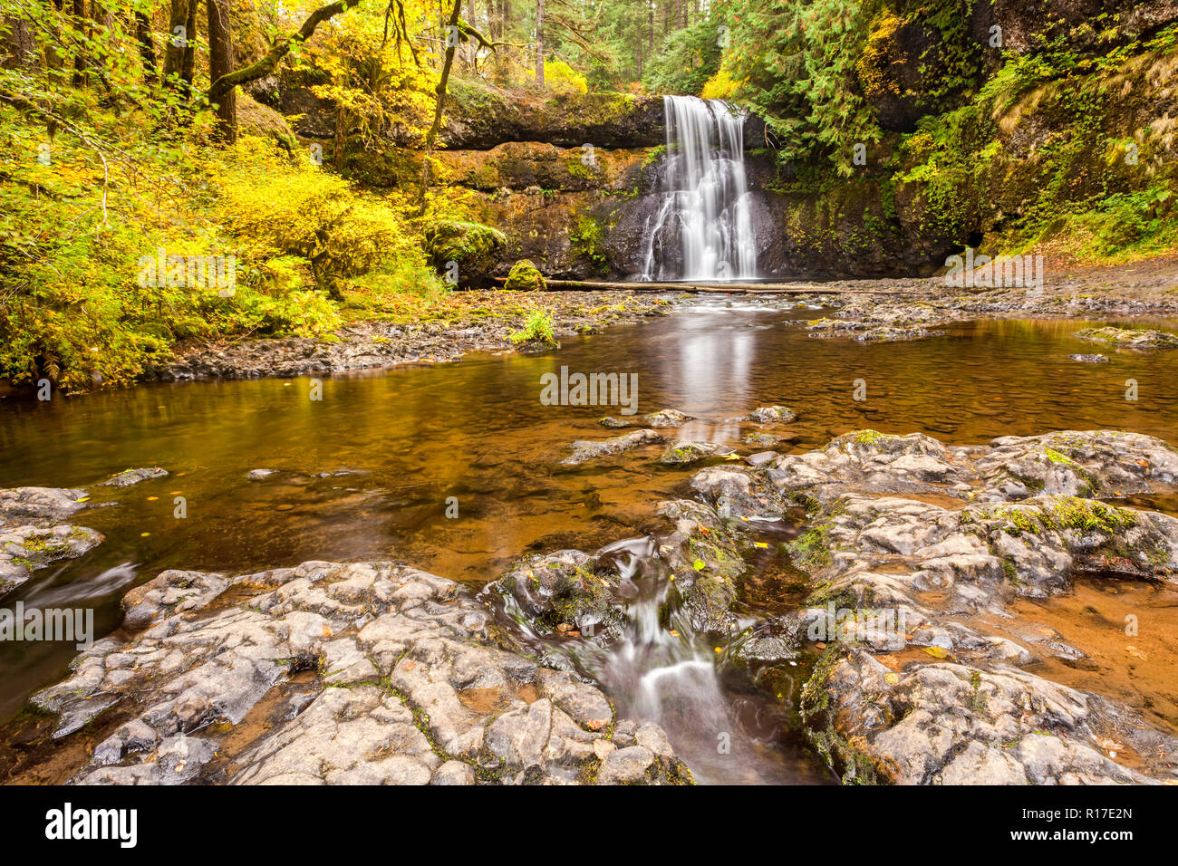 Obere Norden fließt, fällt im Herbst in Silver Falls State Park, Florida, USA Stockfoto