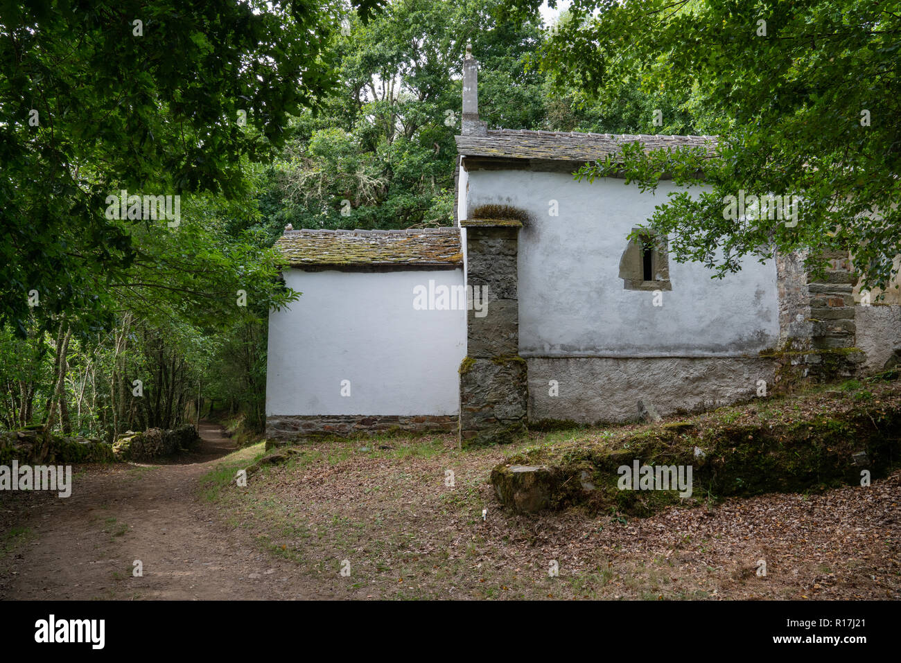 Alte Kapelle San Lazaro im Wald von Padraira, Camino de Santiago in der Nähe Grandas de Salime, Asturien, Spanien Stockfoto