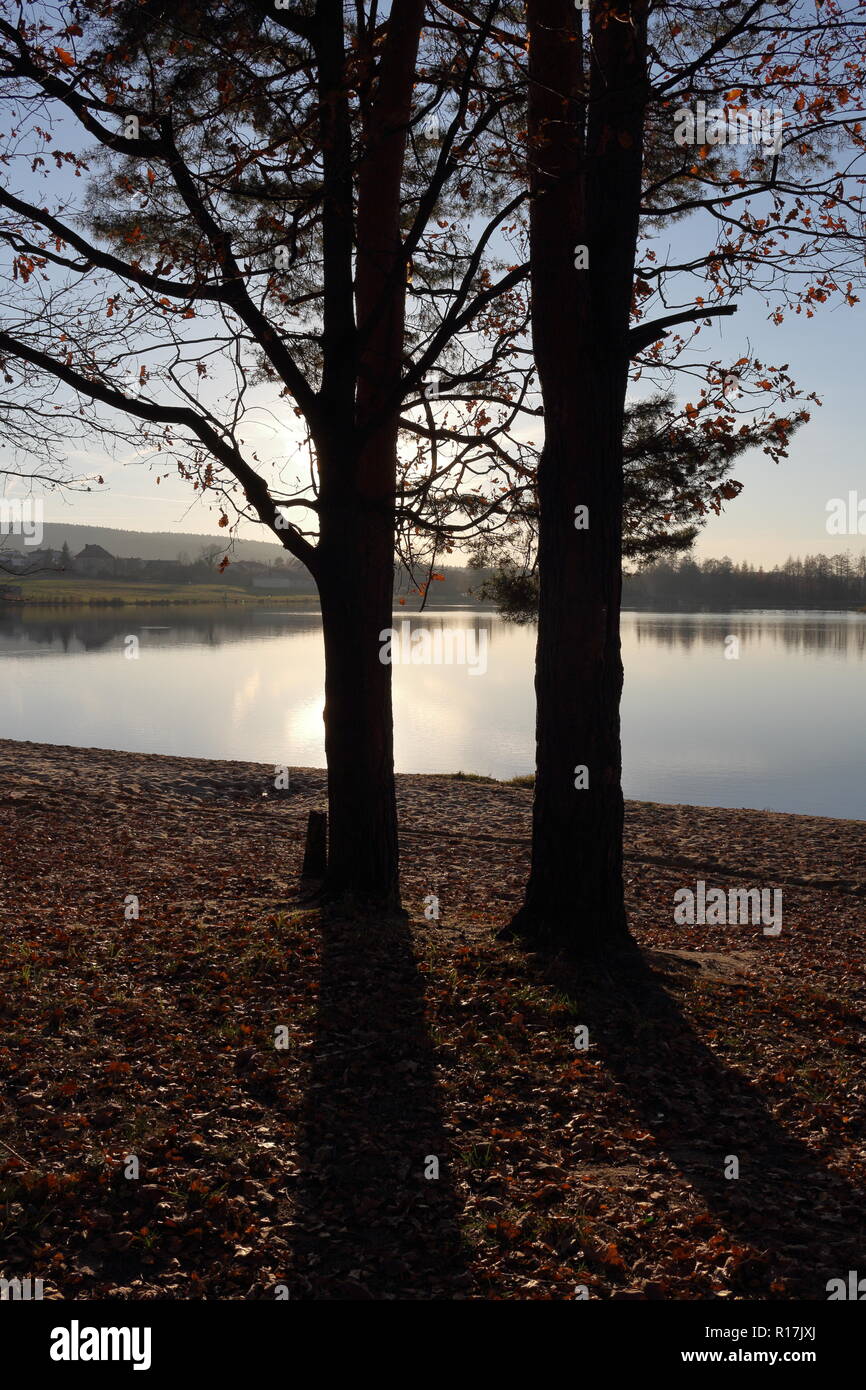 Zwei Bäume und deren lange Schatten bei Sonnenuntergang über dem See im späten Herbst Stockfoto