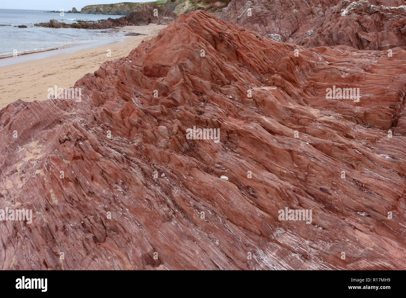 Schluffig-Gebändert Schiefer von Meadfoot Betten am nördlichen Ende des South Milton und Thurlestone Sands, South Devon Stockfoto