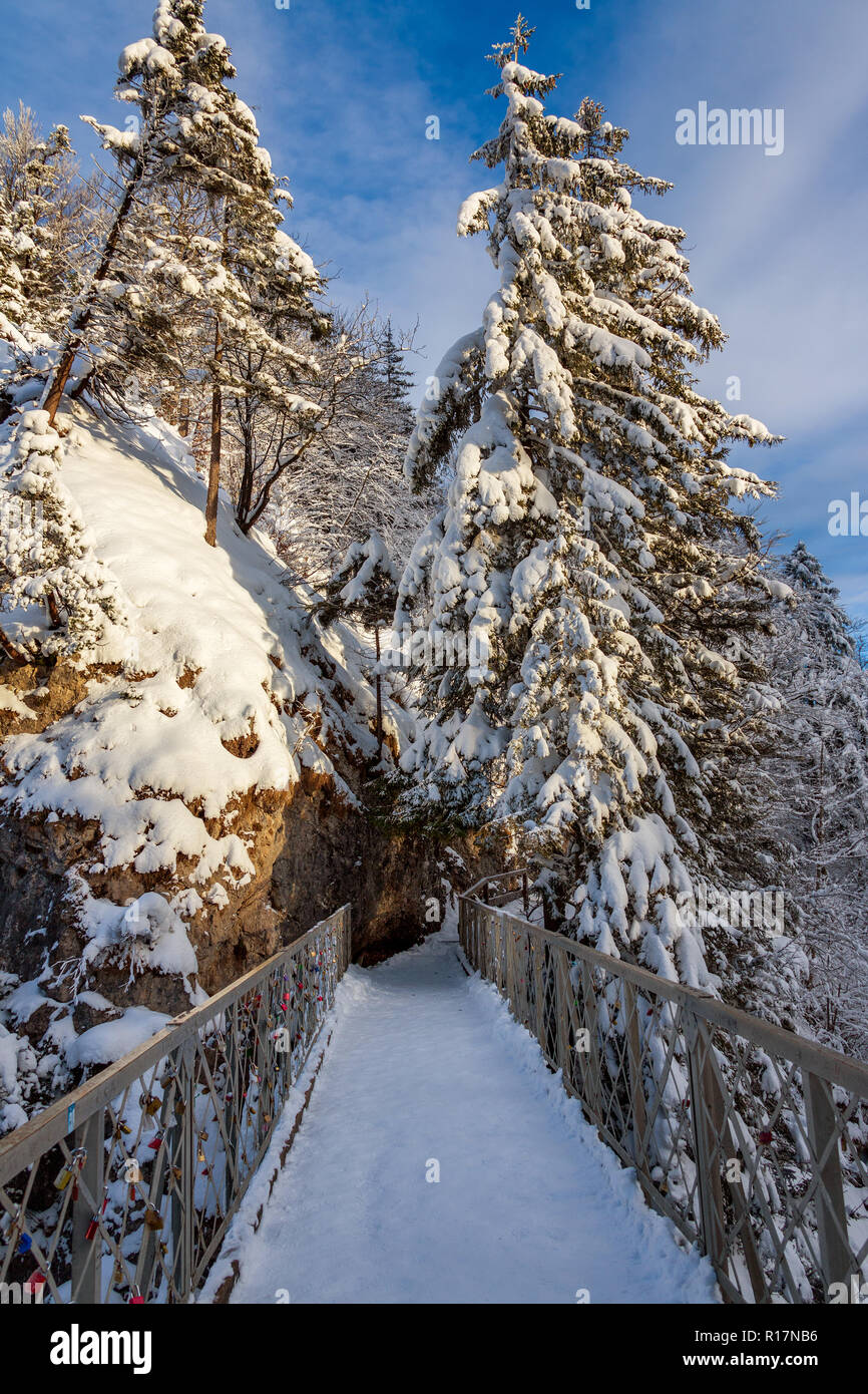 Wald Brücke im Winter bei Schnee, Marienbrücke (Neuschwanstein) Stockfoto