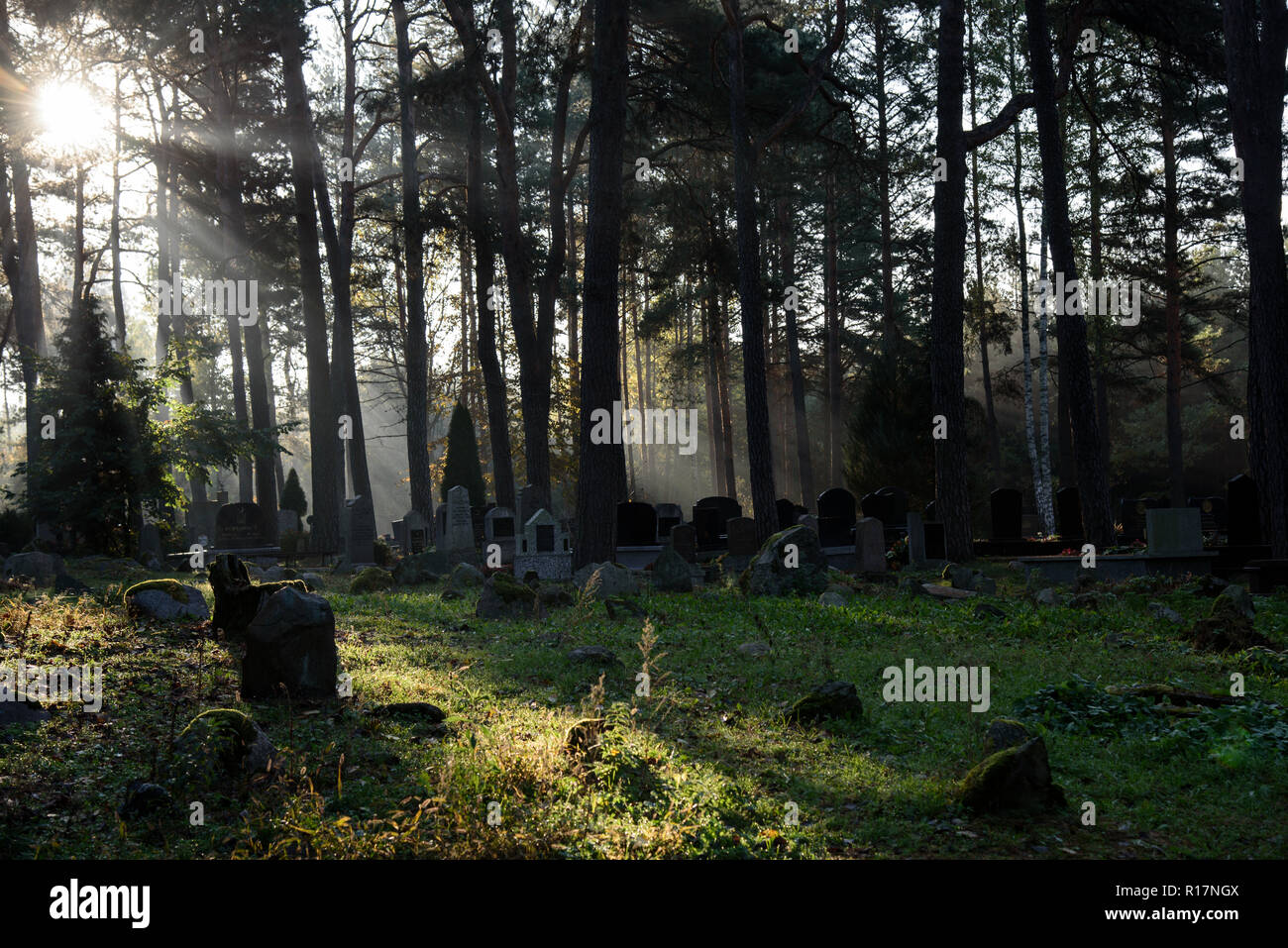 Muslimischer Friedhof, Kruszyniany, Grabstätte, Herbst, Bäume, Frieden, Ort der Anbetung, Gebet, Grabsteine Stockfoto