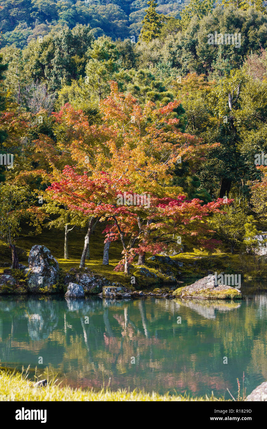 Herbst Wälder und bunte Bäume mit Teich in Japan Stockfoto