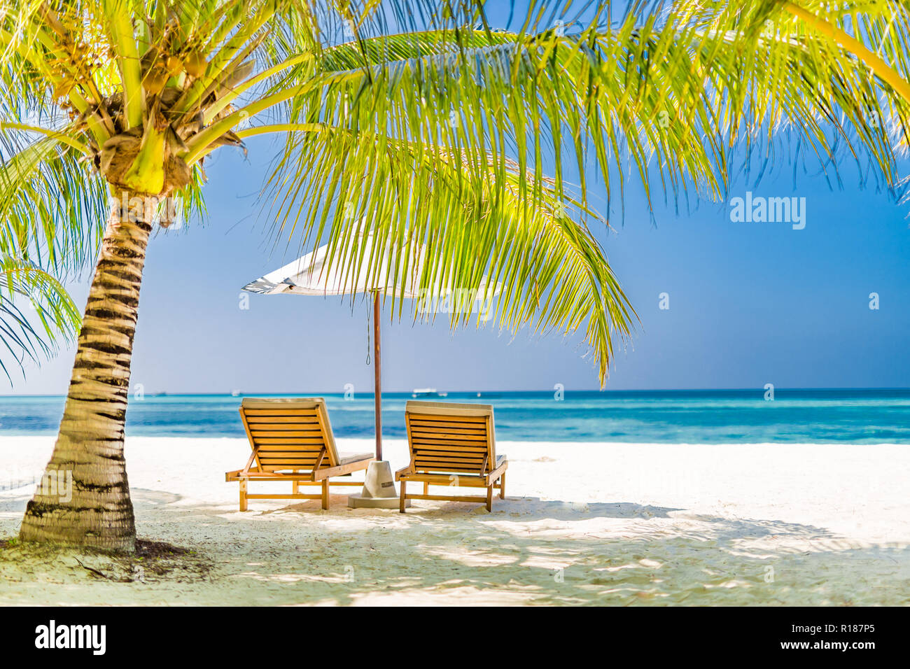 Zwei Liegen auf weißen Sand unter Palmen Blätter. Perfekte Strand Landschaft, tropischen Banner für einen romantischen Urlaub und Ferienhäuser Hintergrund Stockfoto