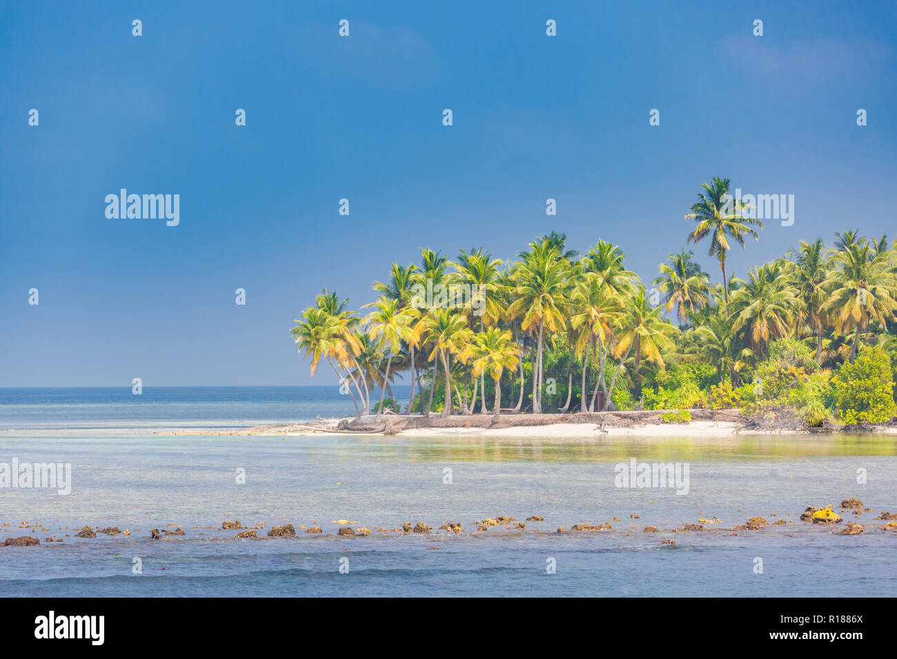 Tropische Landschaft, Palmen und blaues Meer. Idyllischen Strand Landschaft für Banner Konzept der Tropen. Exotische Reiseziel Stockfoto