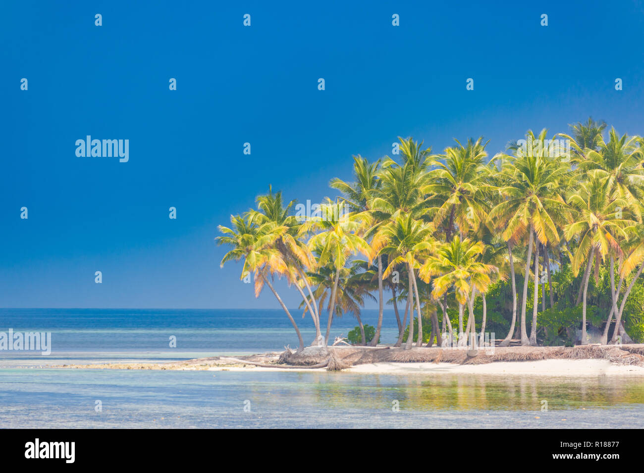 Tropische Landschaft, Palmen und blaues Meer. Idyllischen Strand Landschaft für Banner Konzept der Tropen. Exotische Reiseziel Stockfoto
