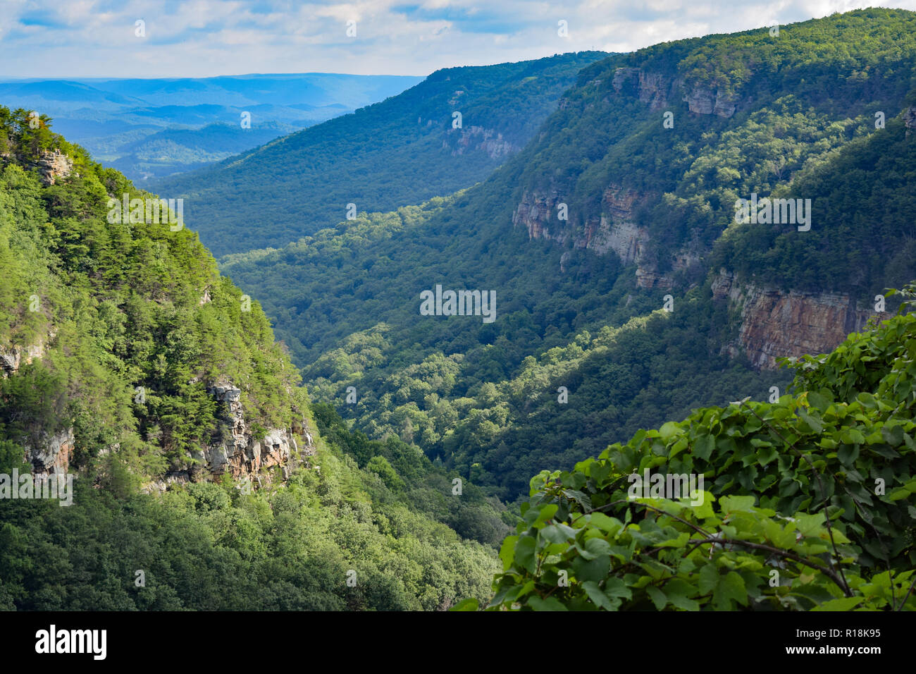 Cloudland Canyon State Park im Nordosten von Georgia, USA, bietet Meilen von Wanderwegen, schöne Aussicht auf die Berge, und mehrere malerische Wasserfälle. Stockfoto