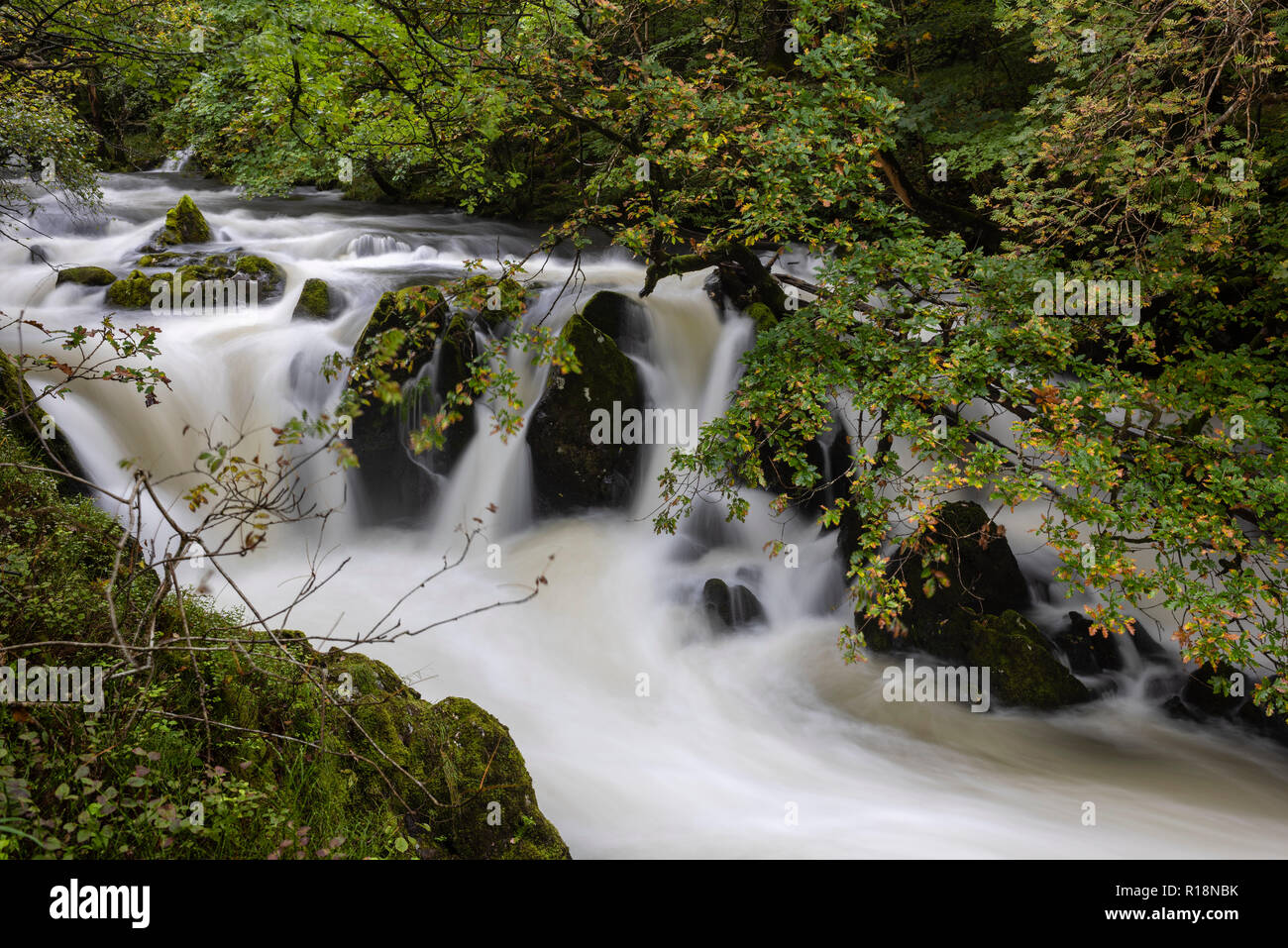 Die traumhafte Strömung des Flusses Brathay oben Colwith Kraft, Lake District, Cumbria, Großbritannien Stockfoto