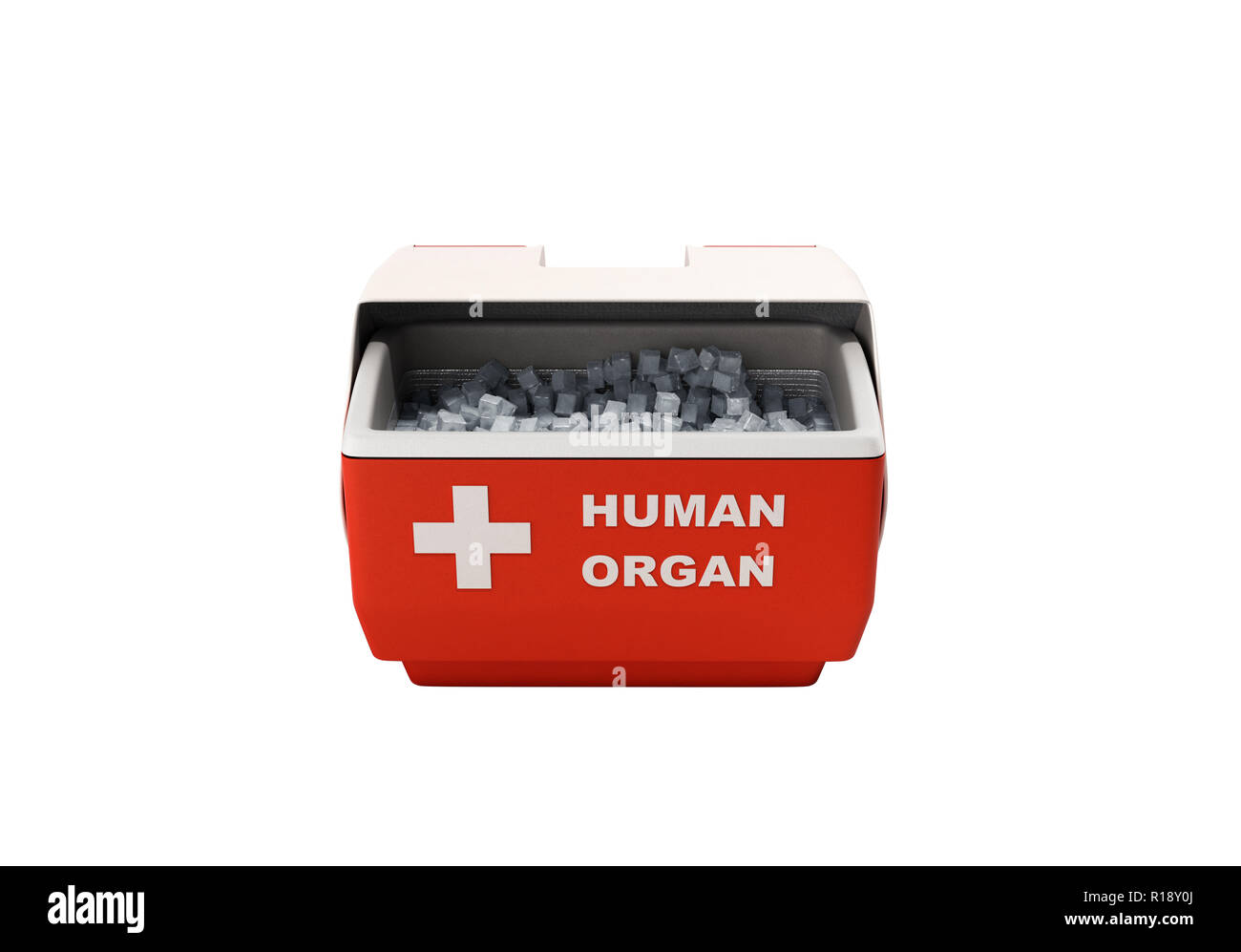 Geschlossen menschlichen box Orgel Kühlschrank rot 3D-Render kein Schatten Stockfoto