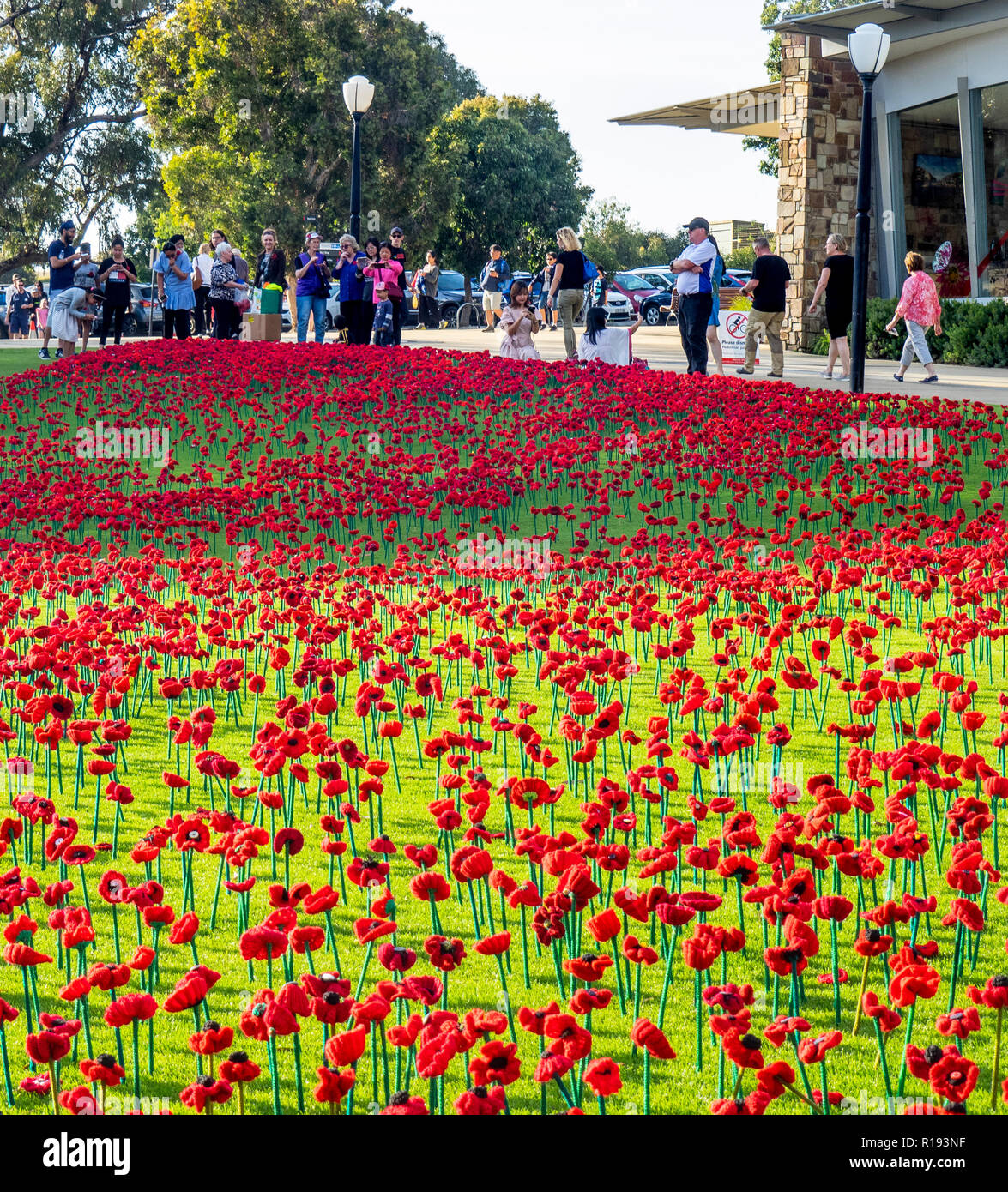 2018 Tag der Erinnerung Poppy Projekt anzeigen von handgefertigten Mohnblumen im Kings Park Perth Western Australia Stockfoto