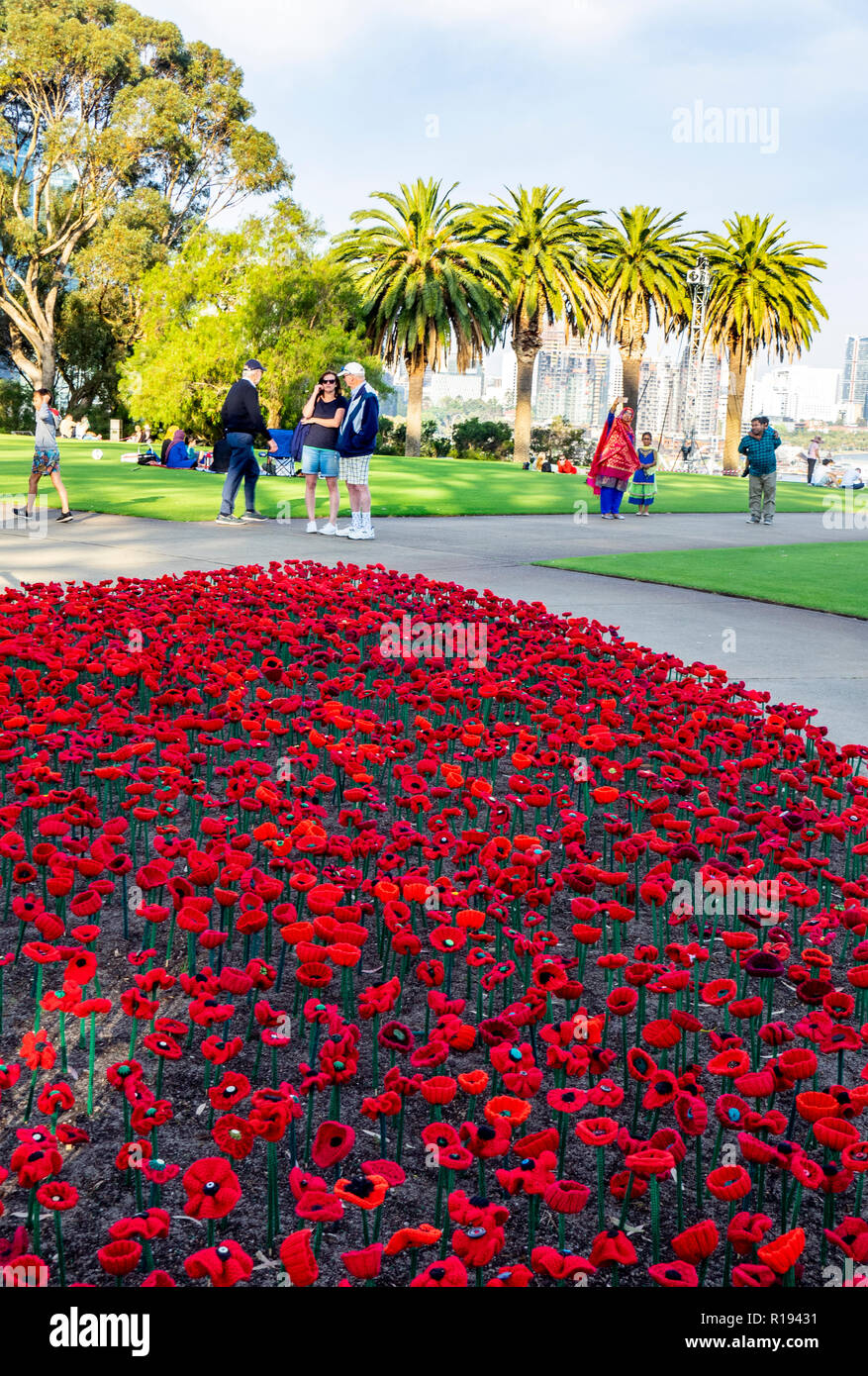 2018 Tag der Erinnerung Poppy Projekt anzeigen von handgefertigten Mohnblumen im Kings Park Perth Western Australia Stockfoto