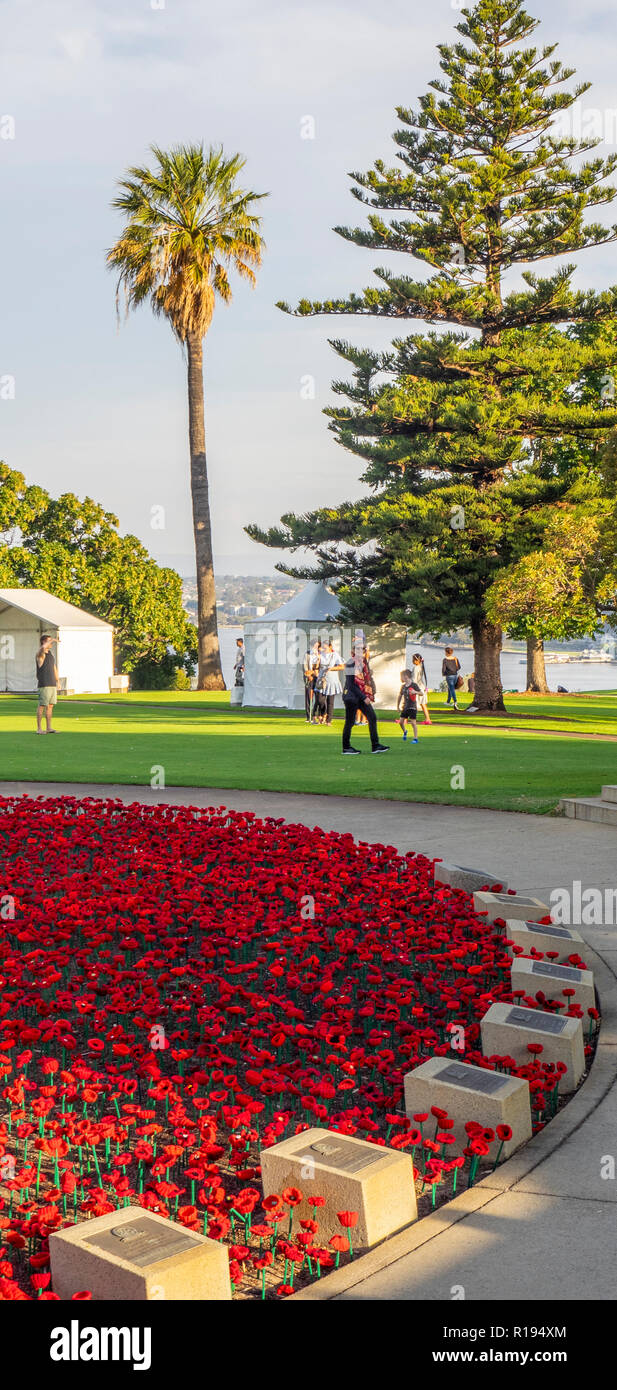2018 Tag der Erinnerung Poppy Projekt anzeigen von handgefertigten Mohnblumen im Kings Park Perth Western Australia Stockfoto