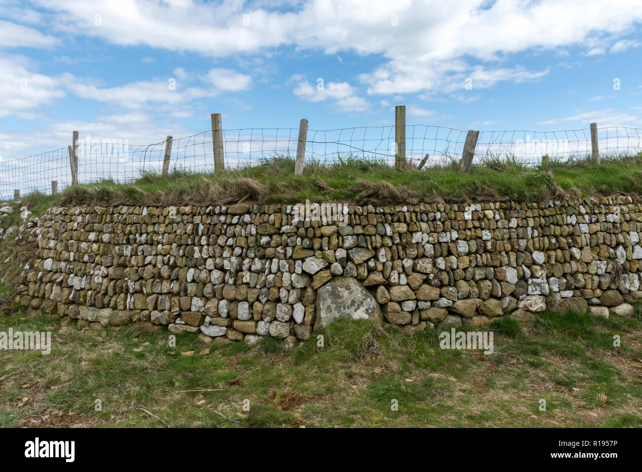 Traditionelle Steinmauern entlang der Küstenpfade Gwynedd in Nordwales Llyn Halbinsel Stockfoto