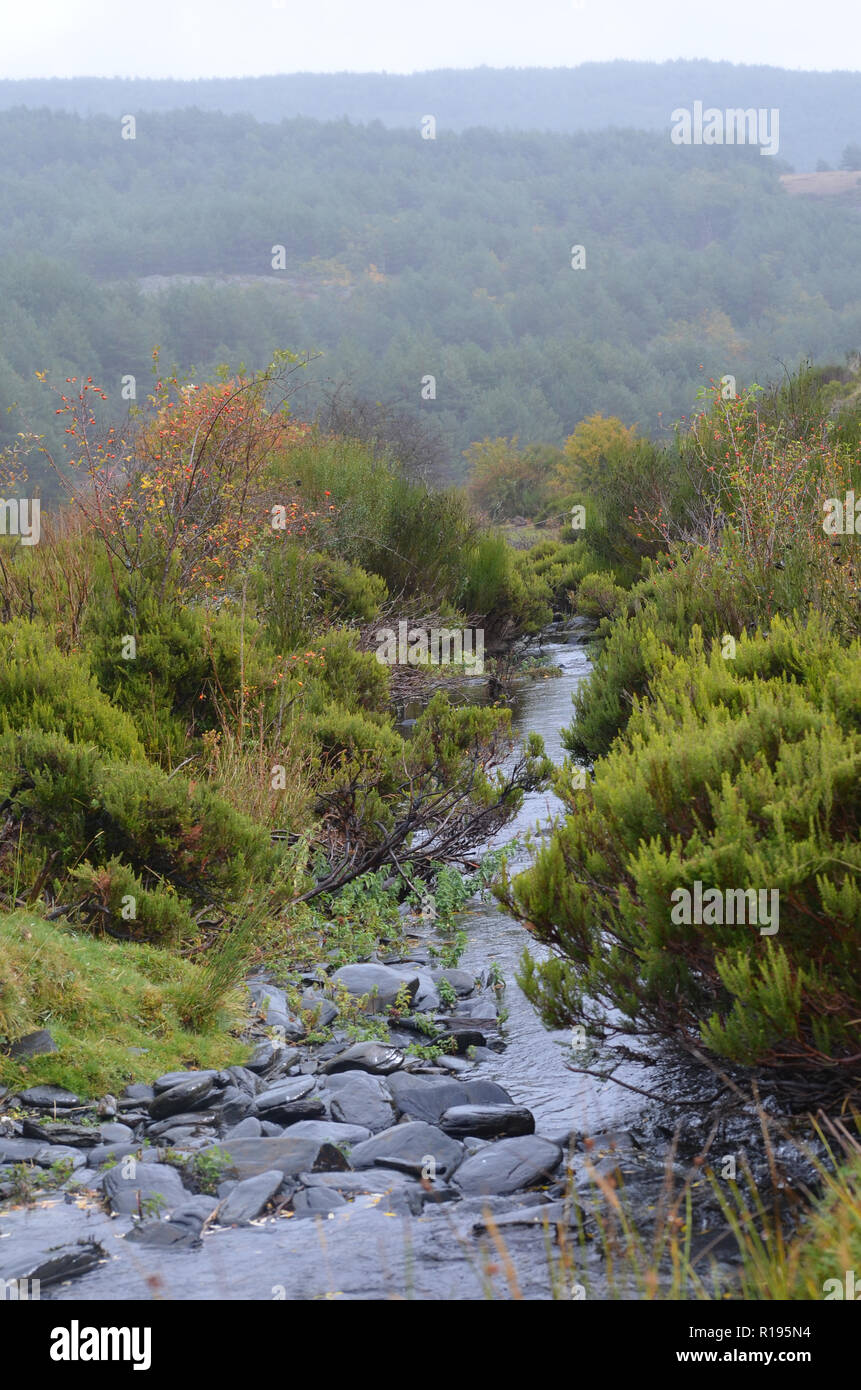 Lillas Fluss in der Tejera Negra Naturpark, Provinz Guadalajara, Spanien Stockfoto