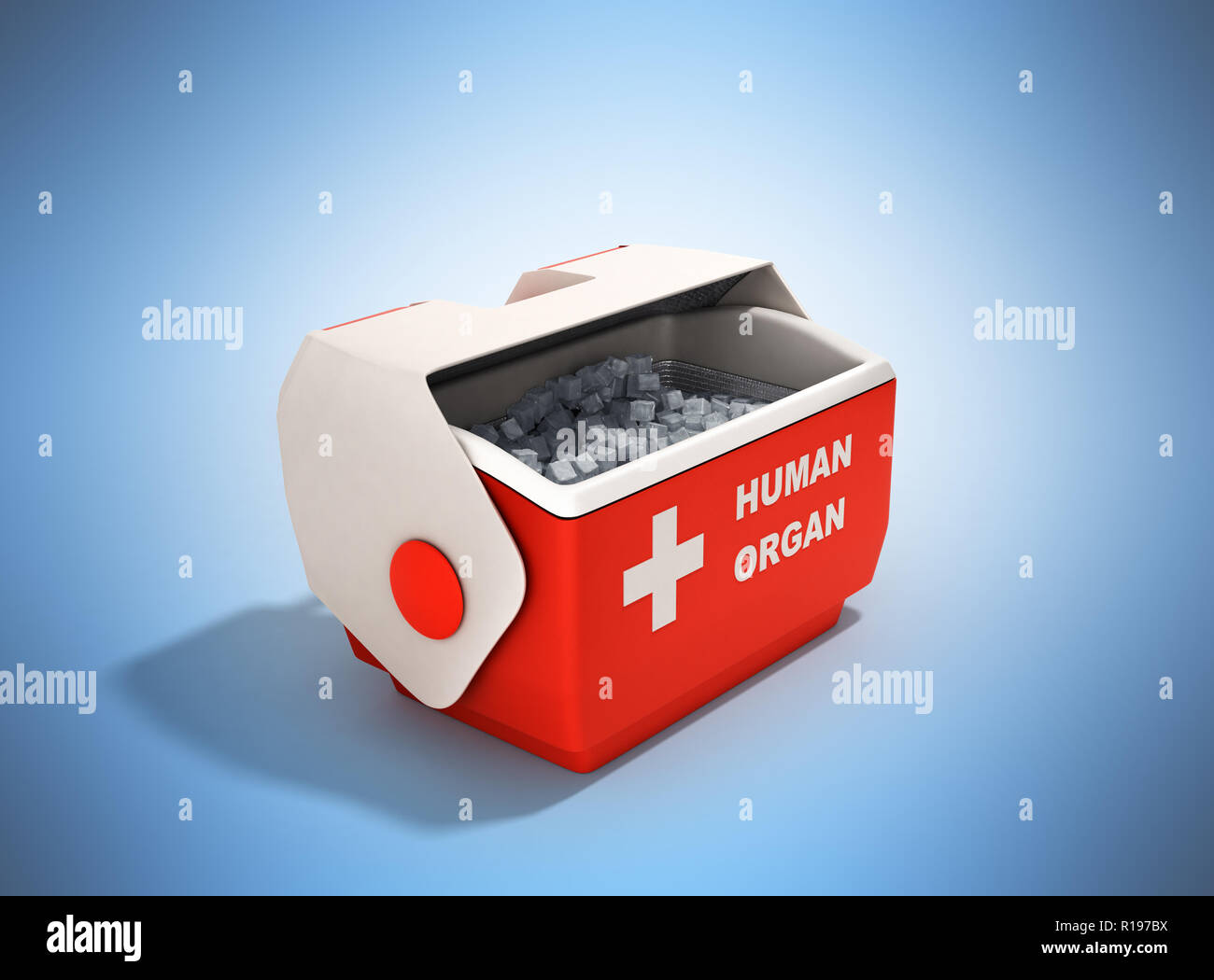 Öffnen Sie menschliche Organ Kühlschrank box Rot 3D-Render auf Blau Stockfoto