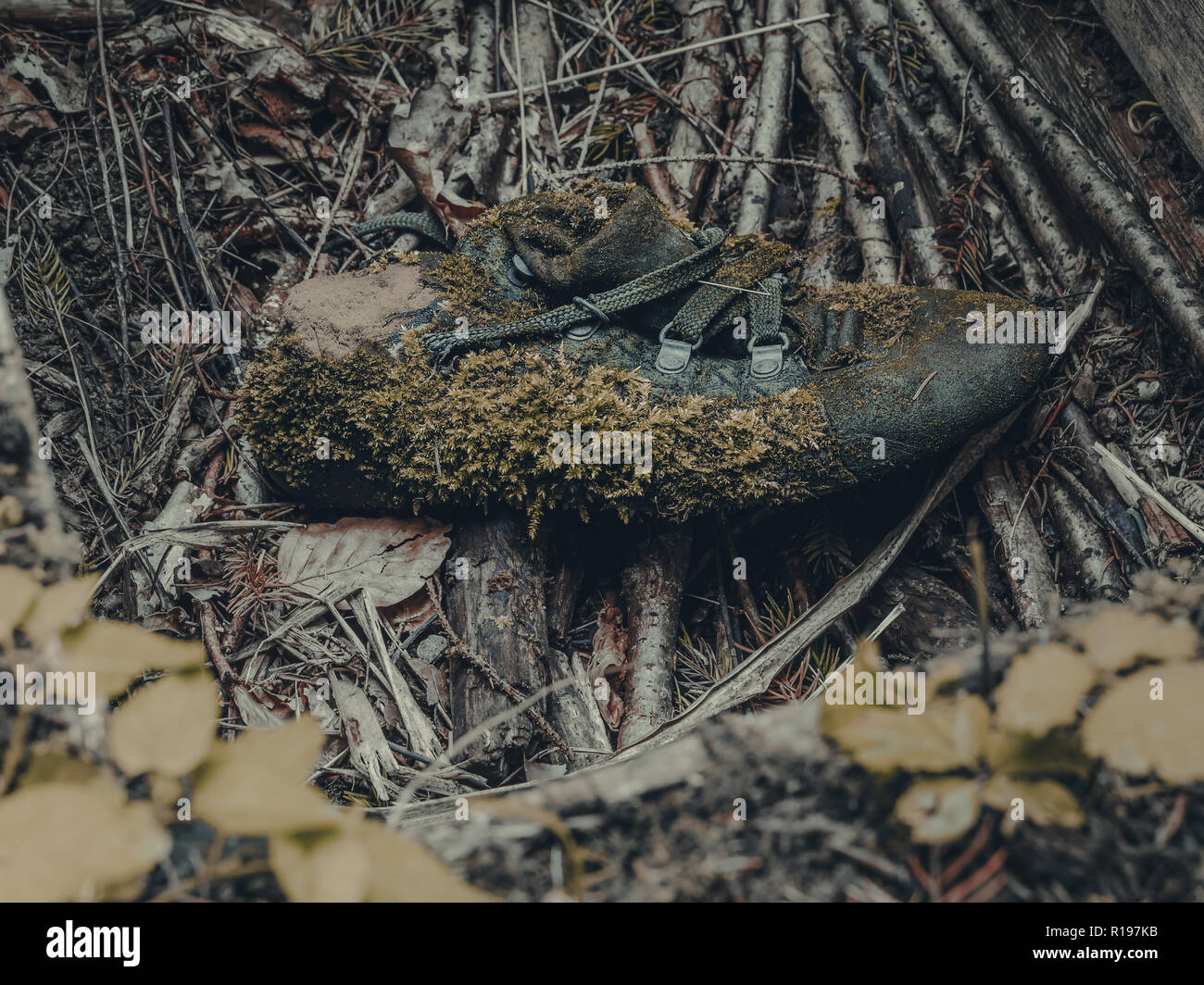Überwucherte Moos bedeckt Schuh auf Waldboden Stockfoto