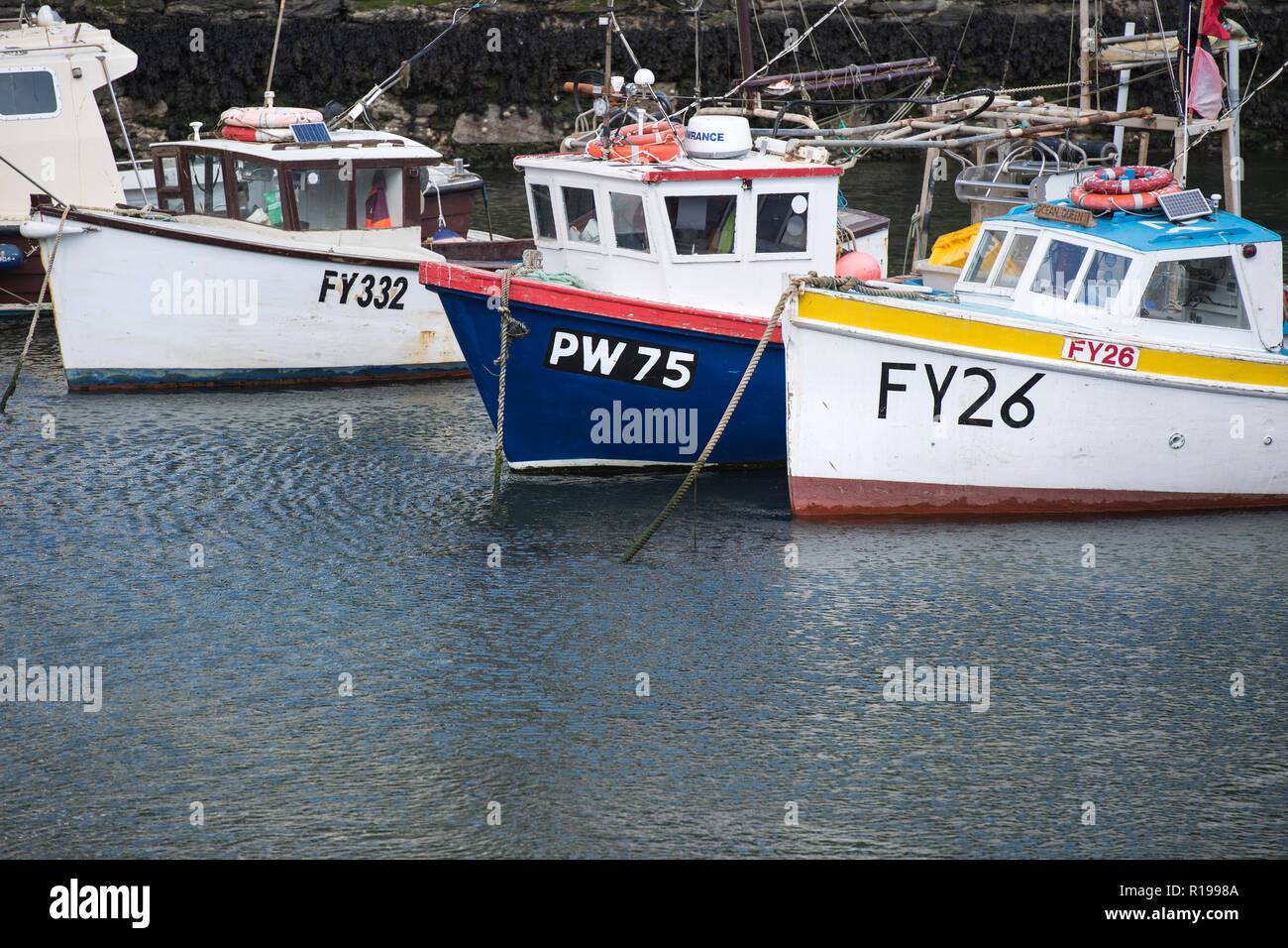 Bunte Fischerboote vertäut im Hafen von Polperro in Cornwall, England, UK Stockfoto