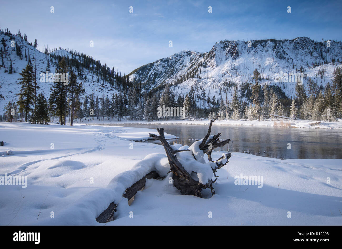 Auf die Landschaft des Yellowstone National Park im Winter, Wyoming, USA Stockfoto