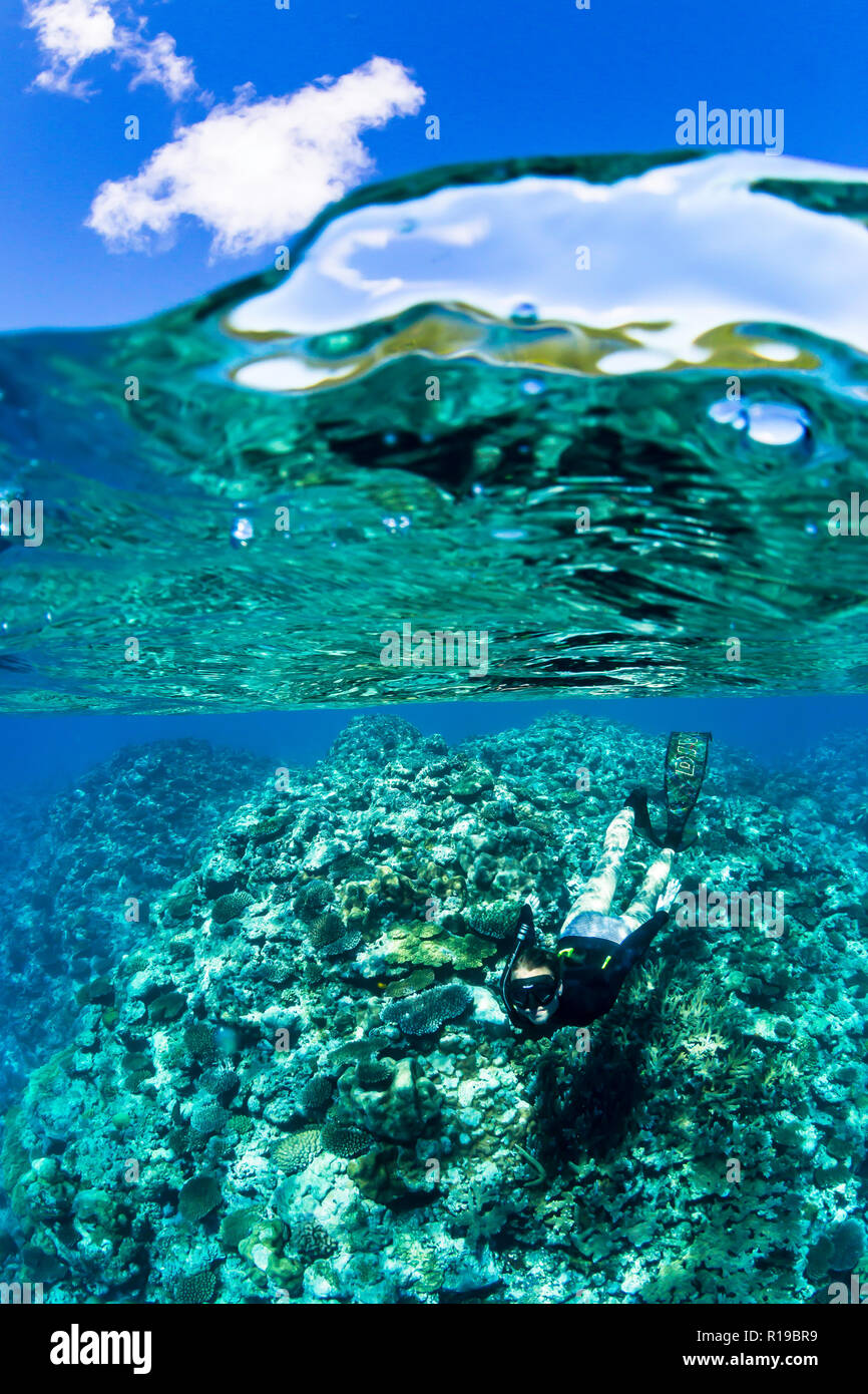 Schnorcheln Die unberührten Riffe auf der entlegenen Insel Alofi im französischen Hoheitsgebiet von Wallis und Futuna. Stockfoto