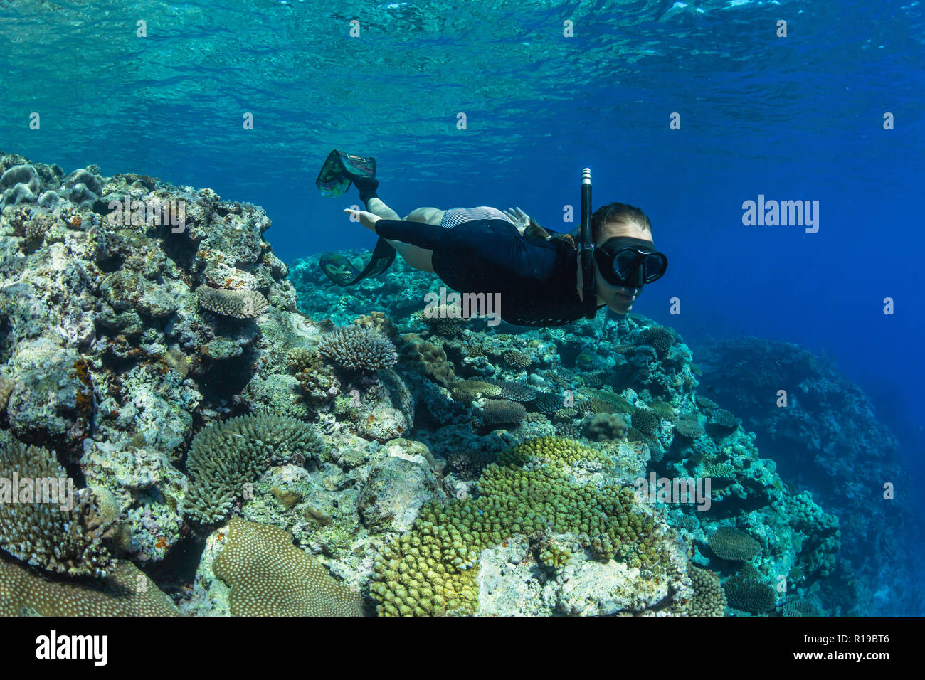 Schnorcheln Die unberührten Riffe auf der entlegenen Insel Alofi im französischen Hoheitsgebiet von Wallis und Futuna. Stockfoto
